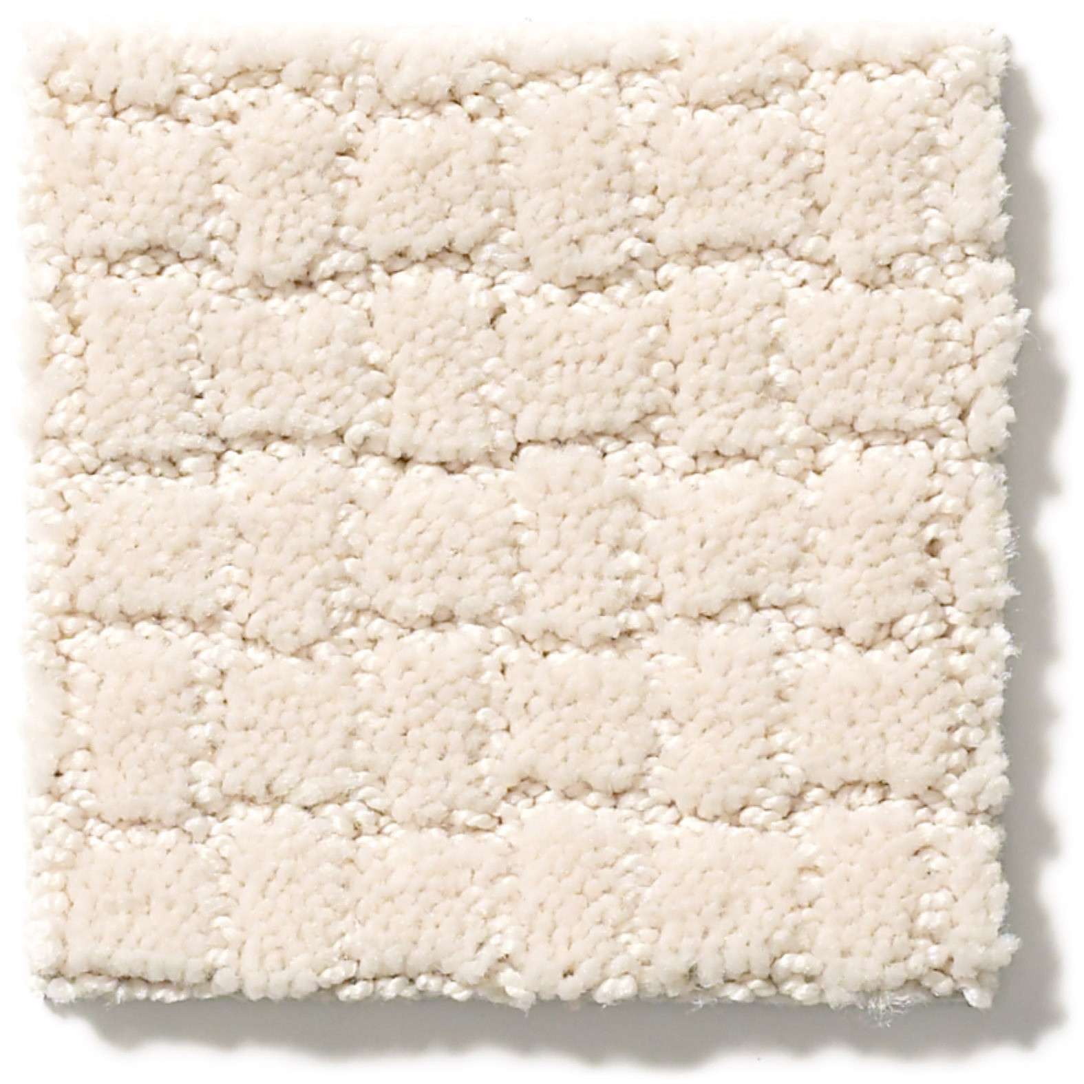 PAWSTRUCK BARELY BEIGE SWATCH