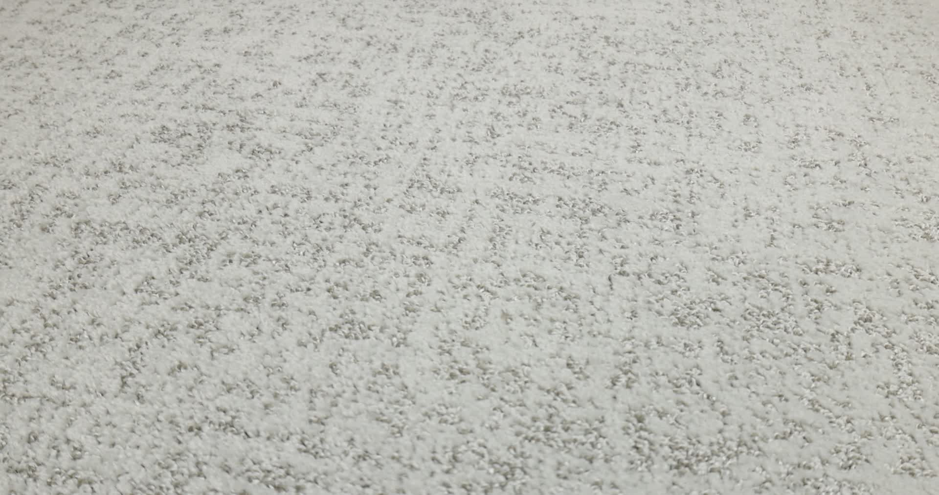 HOME WITHIN FROZEN 360PROD