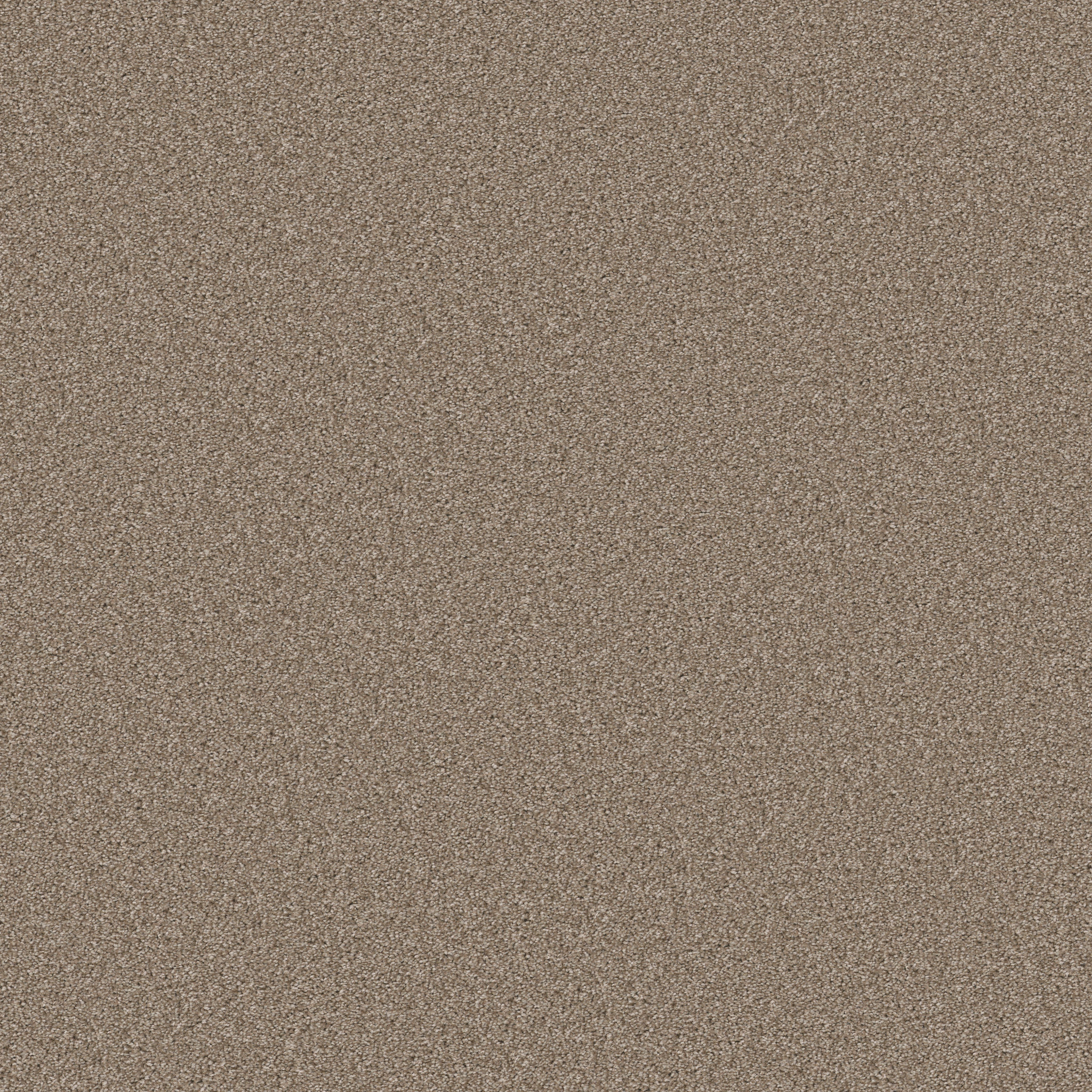 GOOD MOVE III GRECIAN TAN MAIN