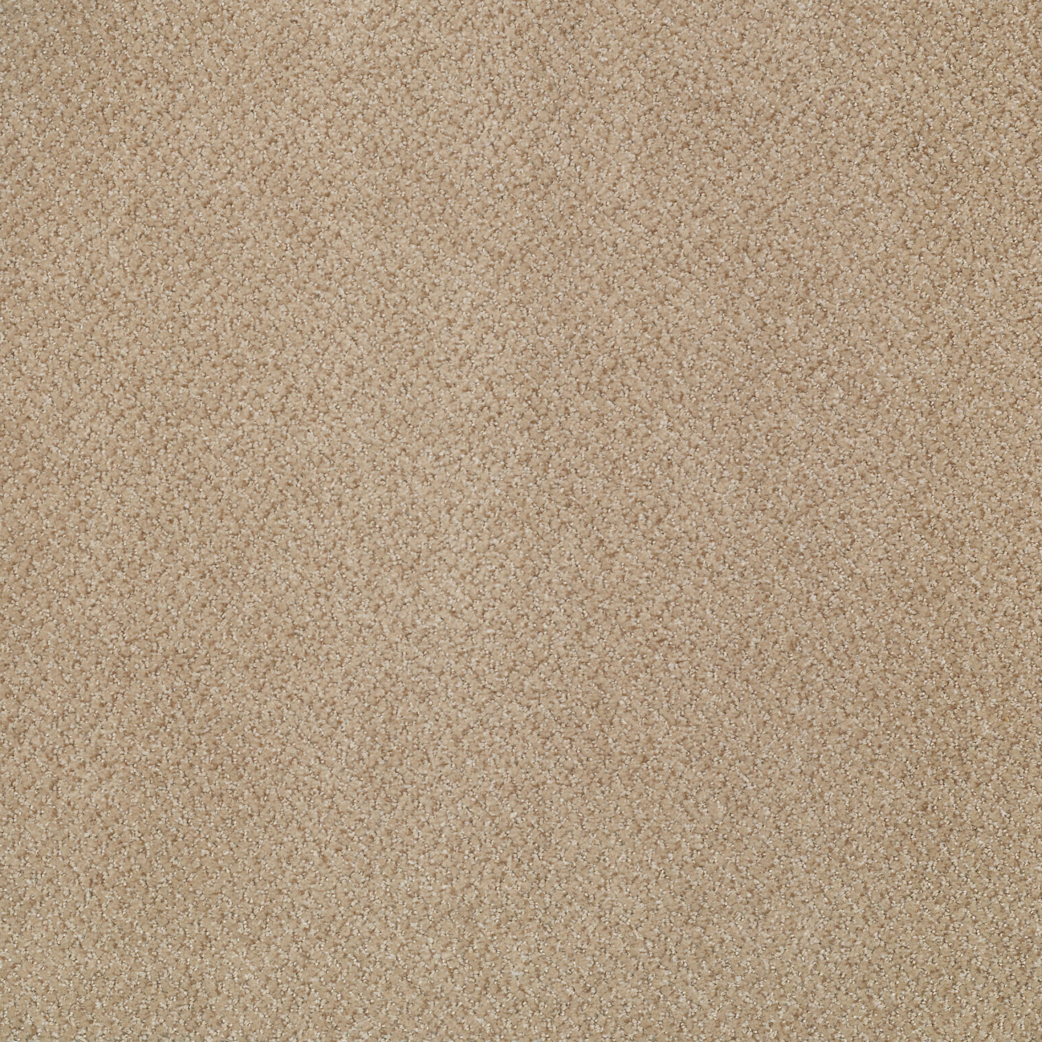 PRIMUS-54510-EMINENT-10115-main-image