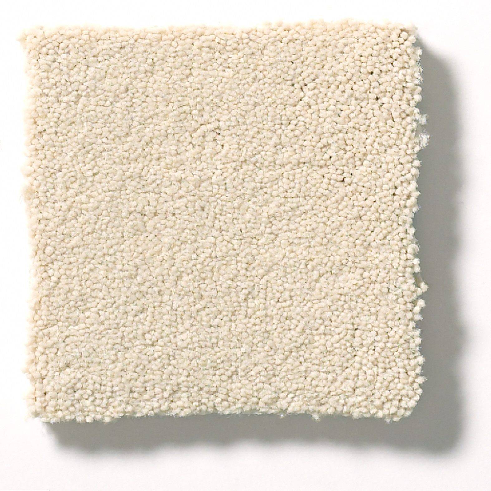 PERFECT CHOICE WINDSWEPT SWATCH