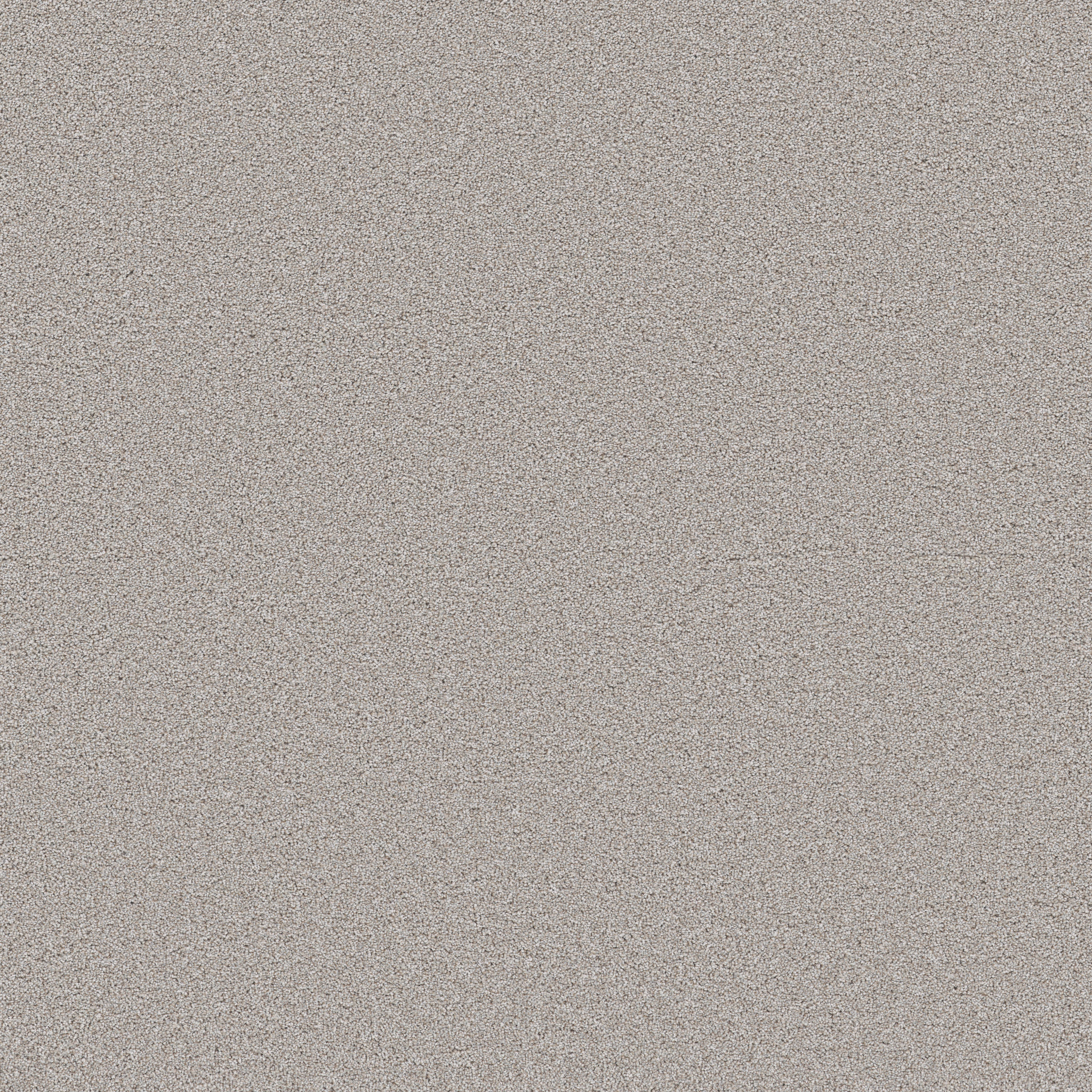 WONDERLAND III 12' ANTIQUITY MAIN