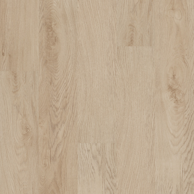 INFINITE SPC in Sand Dune by Shaw Floors