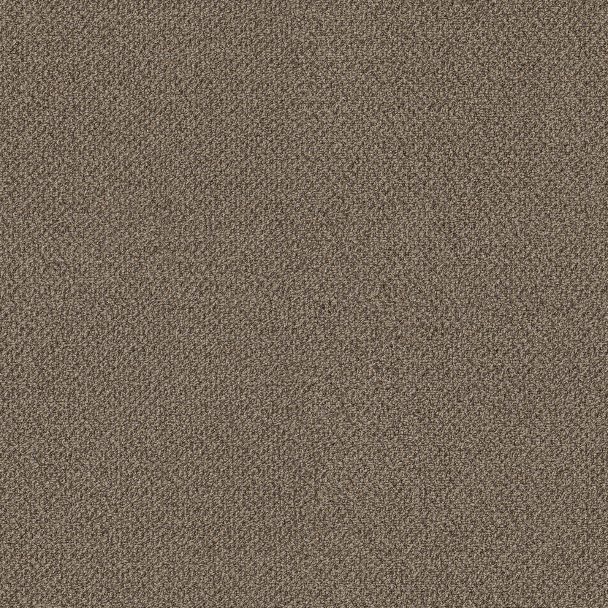 SMALL-WONDER-54984-UNIQUE-84201-main-image