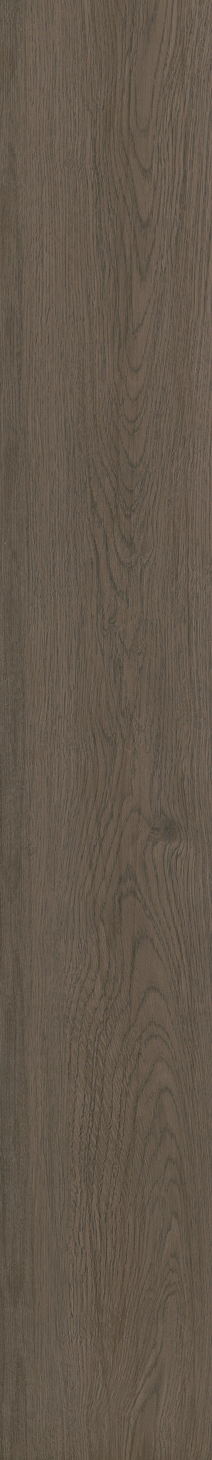 INFINITE 12 BOHEME BROWN 1TO1