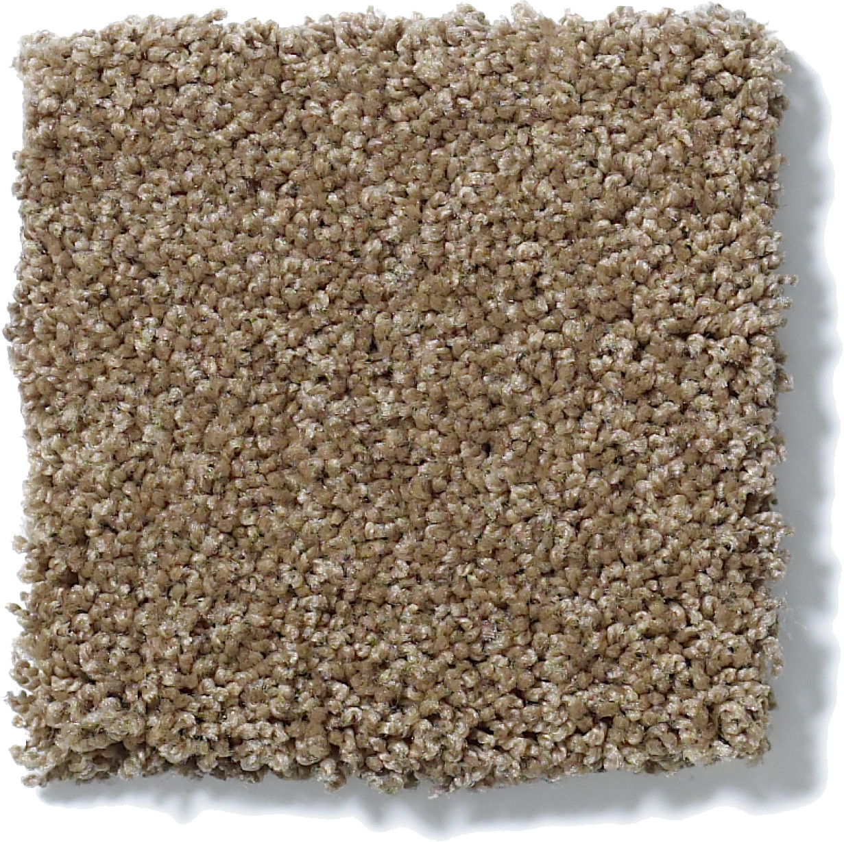 AG TIMELESS GEORGIA CLAY SWATCH