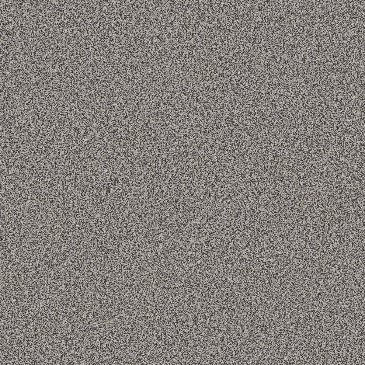 Shaw Floors TWEED COMFORT II — ALL DRESSED UP