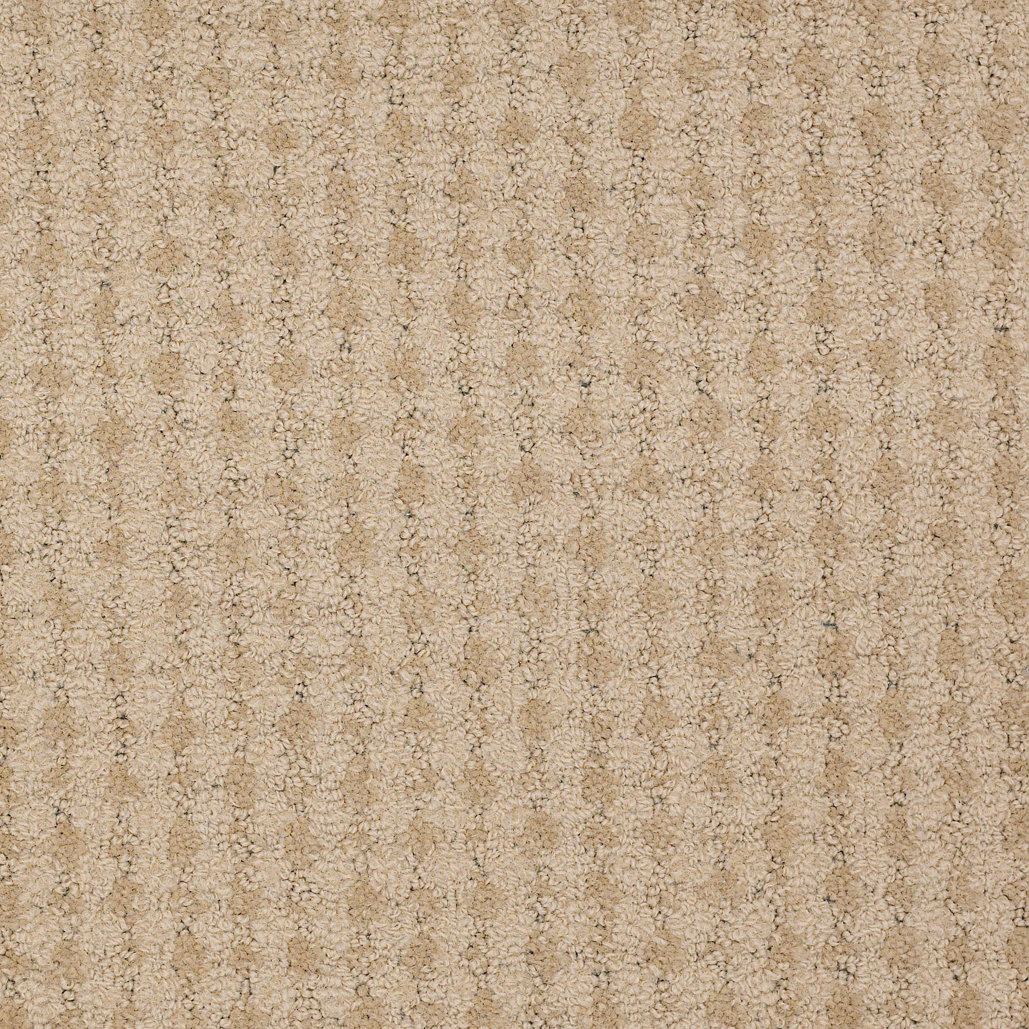 LIVE-54735-FAITH-35101-main-image