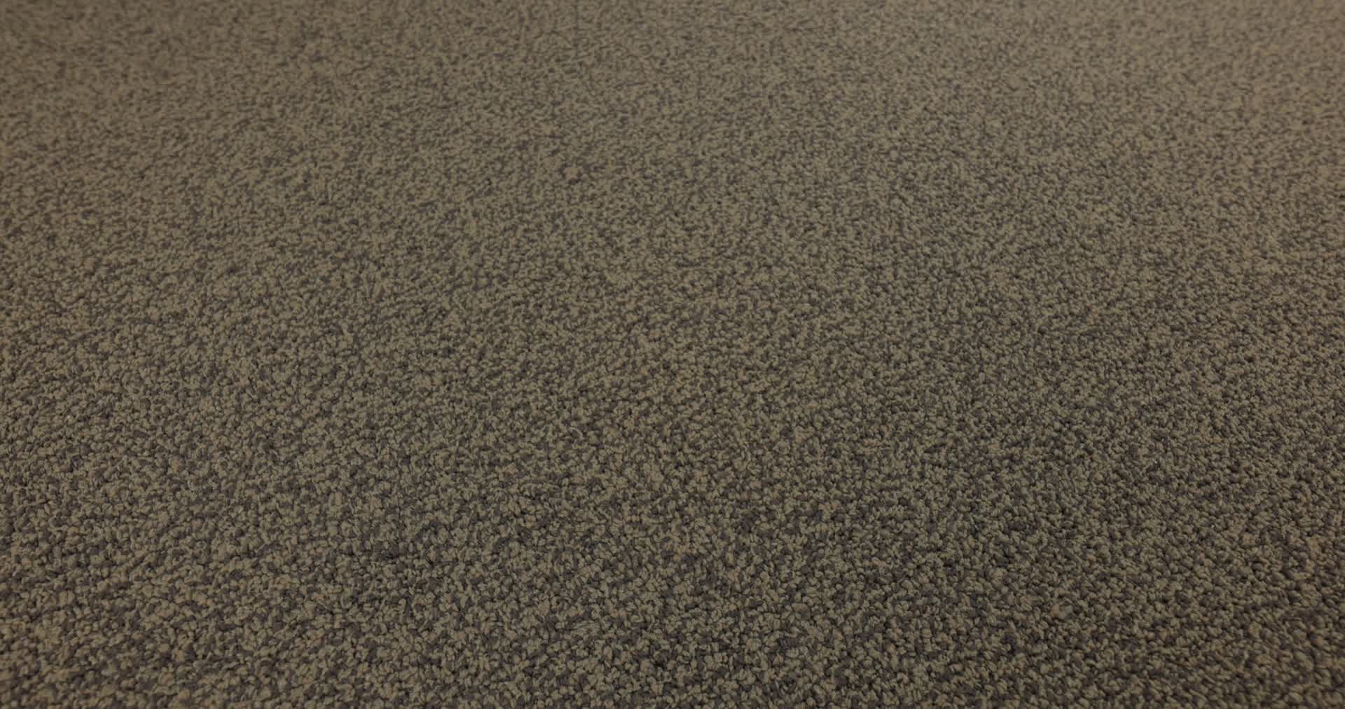 Gradient Driftwood Rotation360