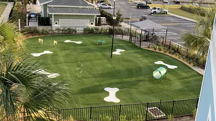 Artificial grass for pet-friendly outdoor spaces Outdoor dog park with artificial grass and play equipment