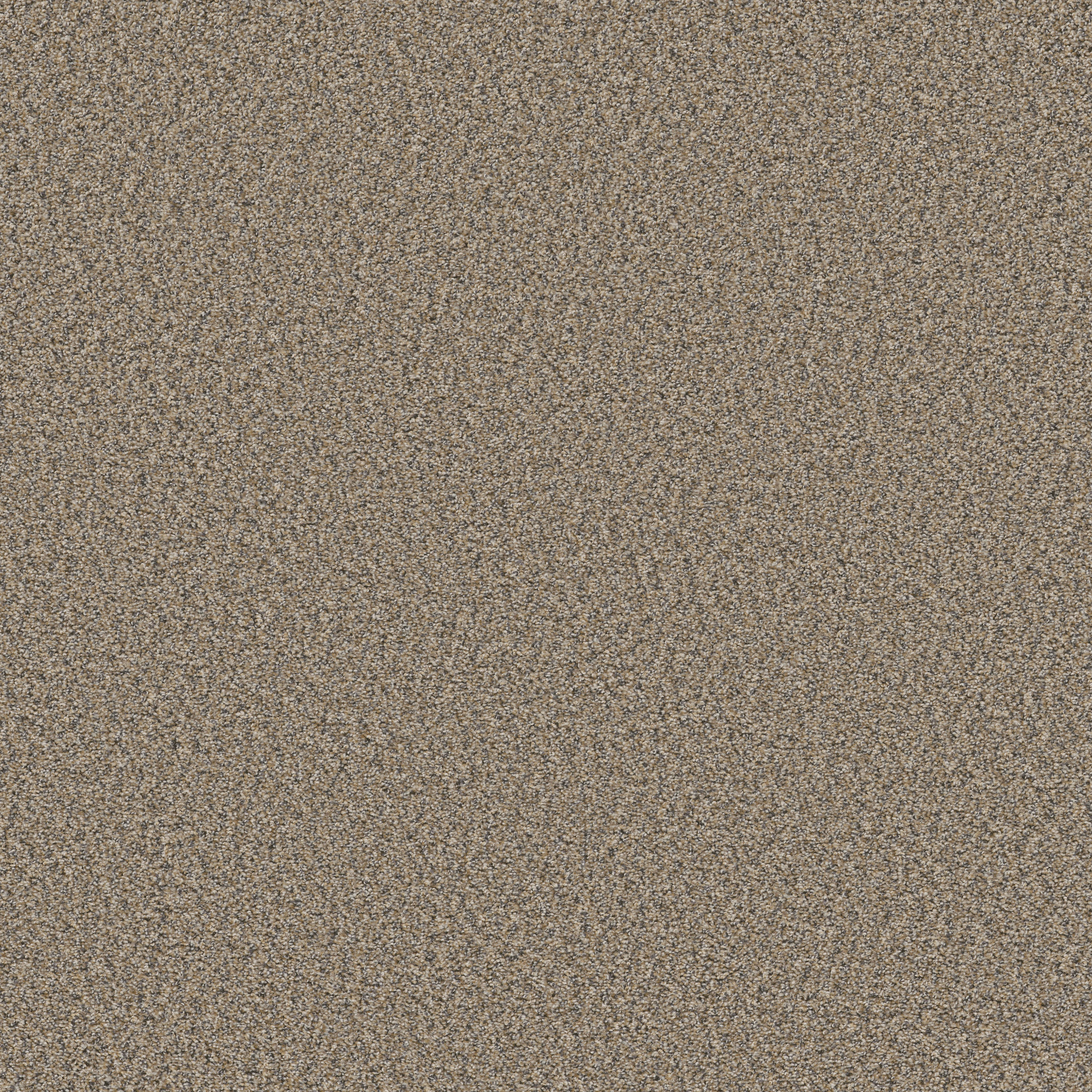 ALWAYS RIGHT I PUFF PASTRY MAIN