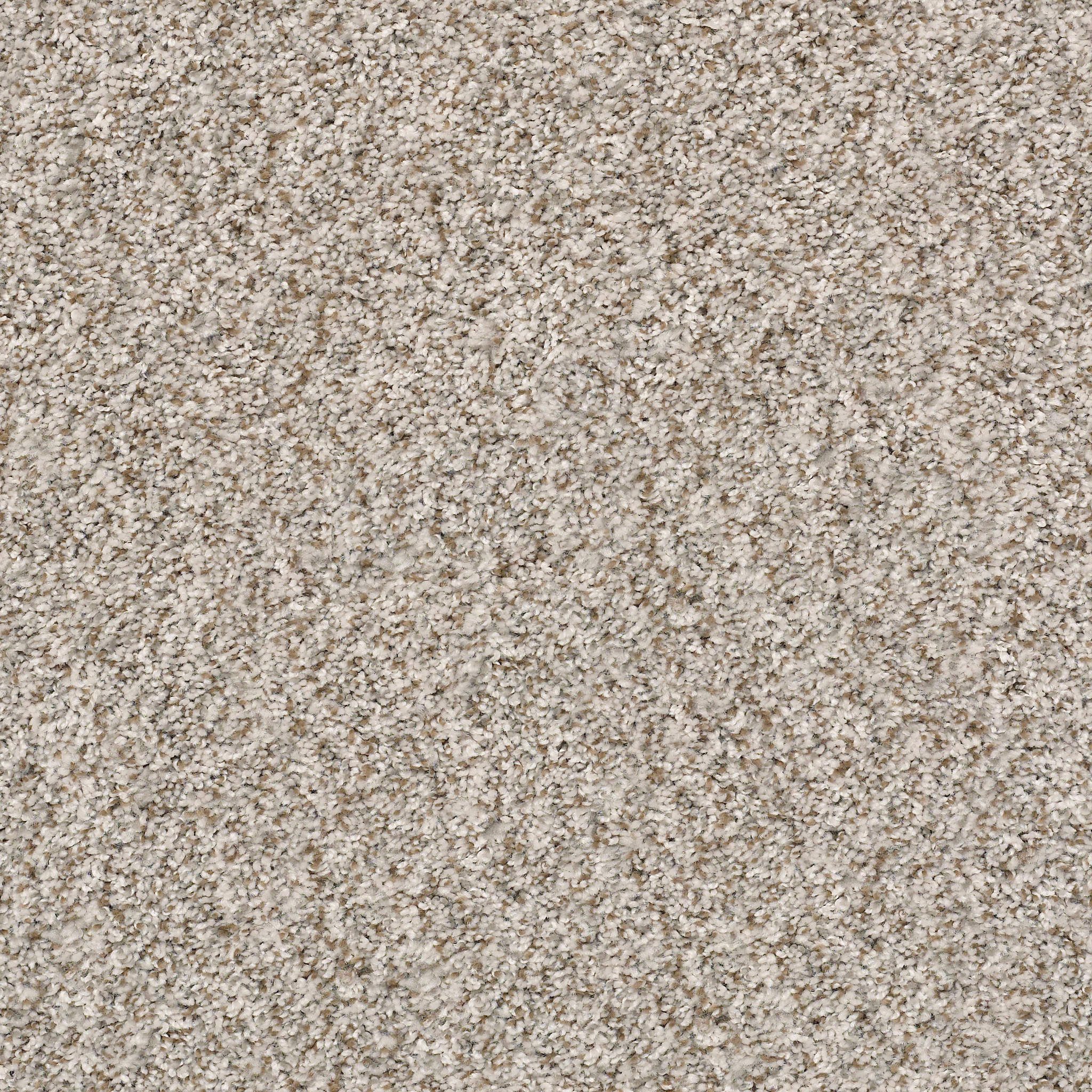 CABANA BAY (B) BEACH HOUSE SWATCH