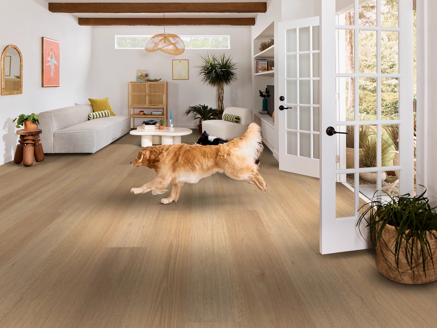 Tusk Oak flooring, shown in a room