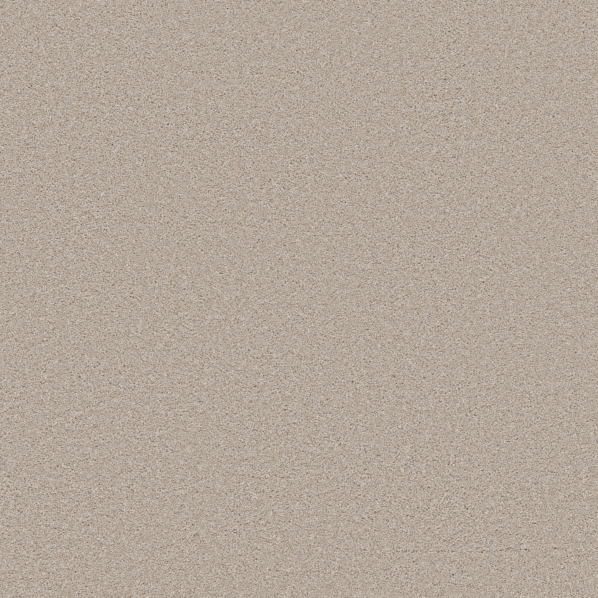 WONDERLAND III 12' OUTER BANKS MAIN