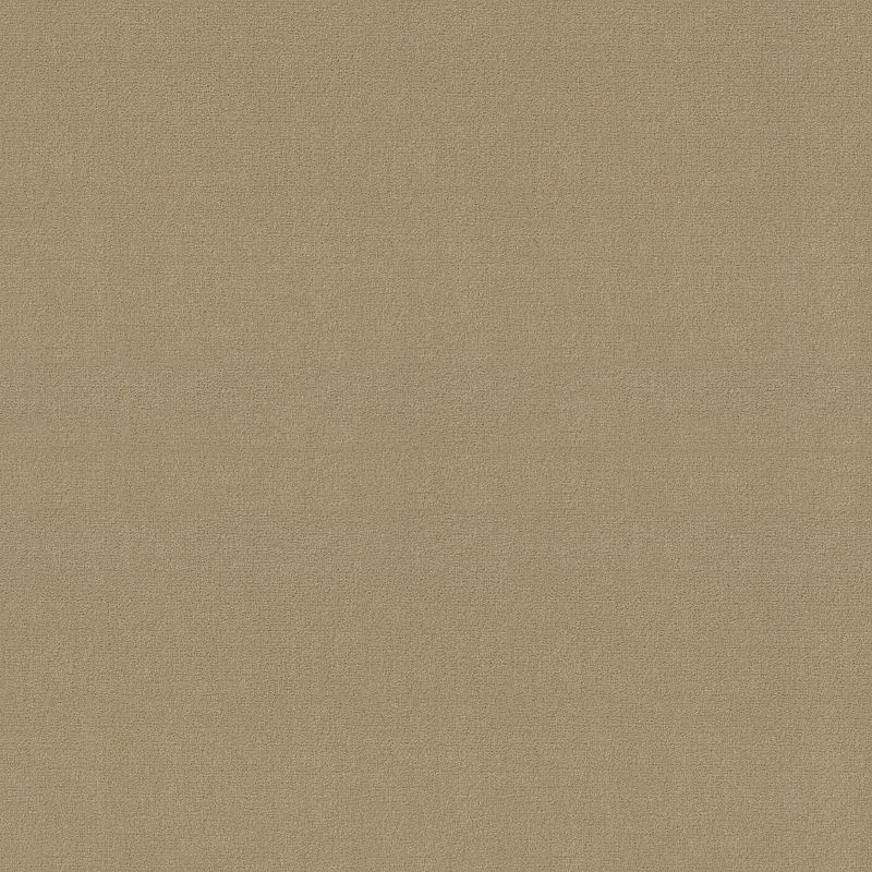 Emphatic II 30 Broadloom Carpet in Coffee Bean color, 12ft wide, made of 100% nylon