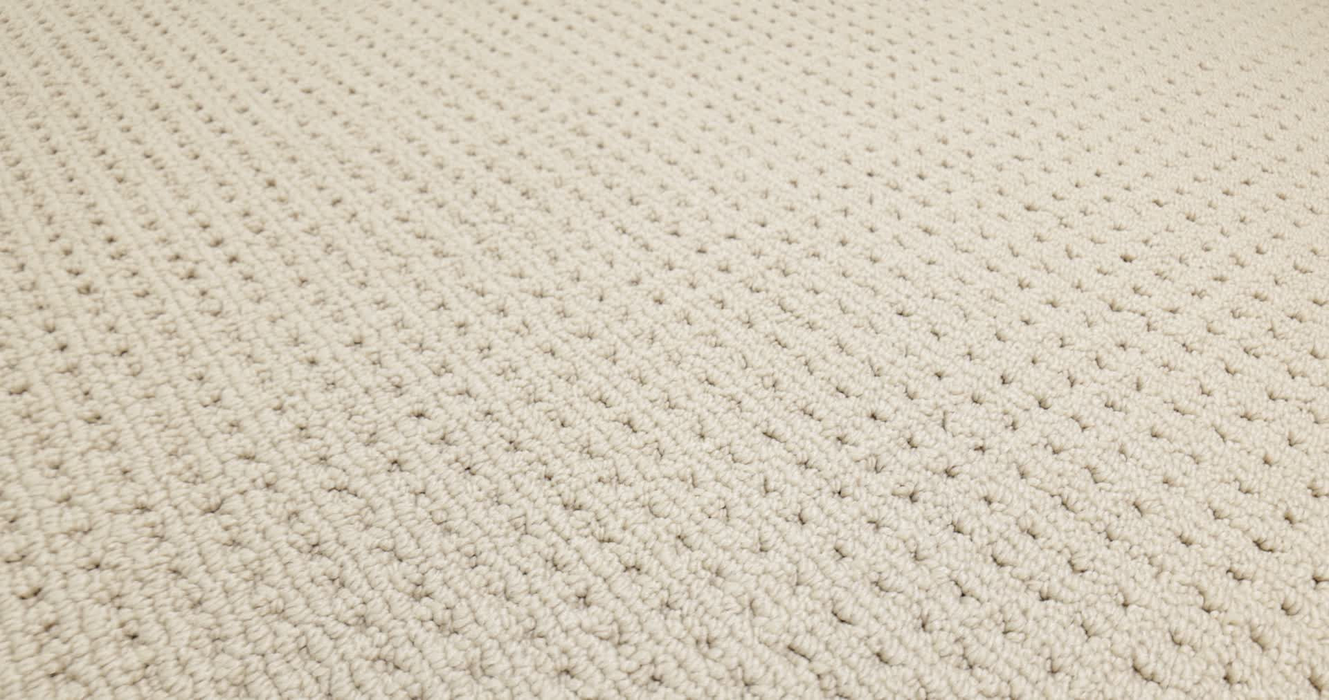 SAN LUCAS BISCUIT 360PROD