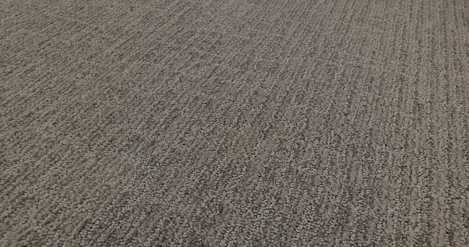 WANDERER HORIZON 360PROD