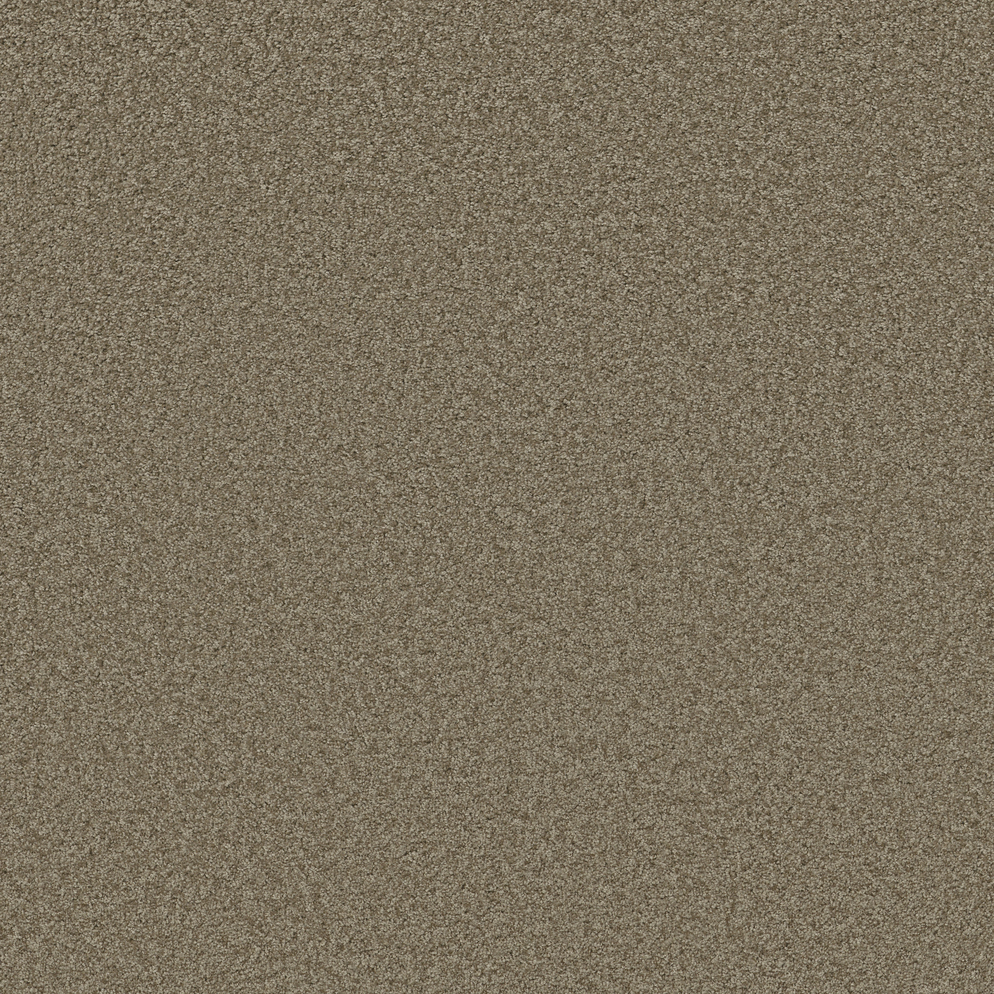 PREMIER ROLE DRIFTWOOD MAIN