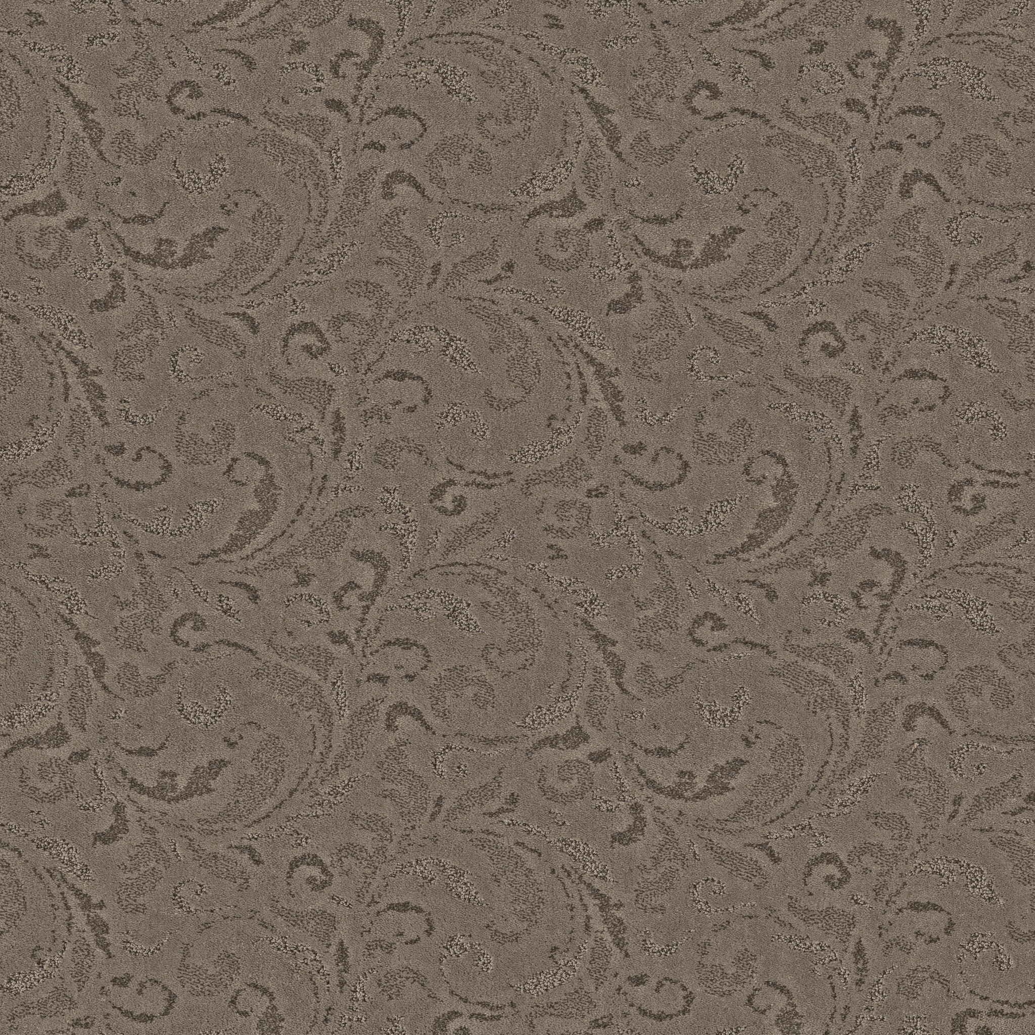 CHARISMATIC ARROWHEAD MAIN