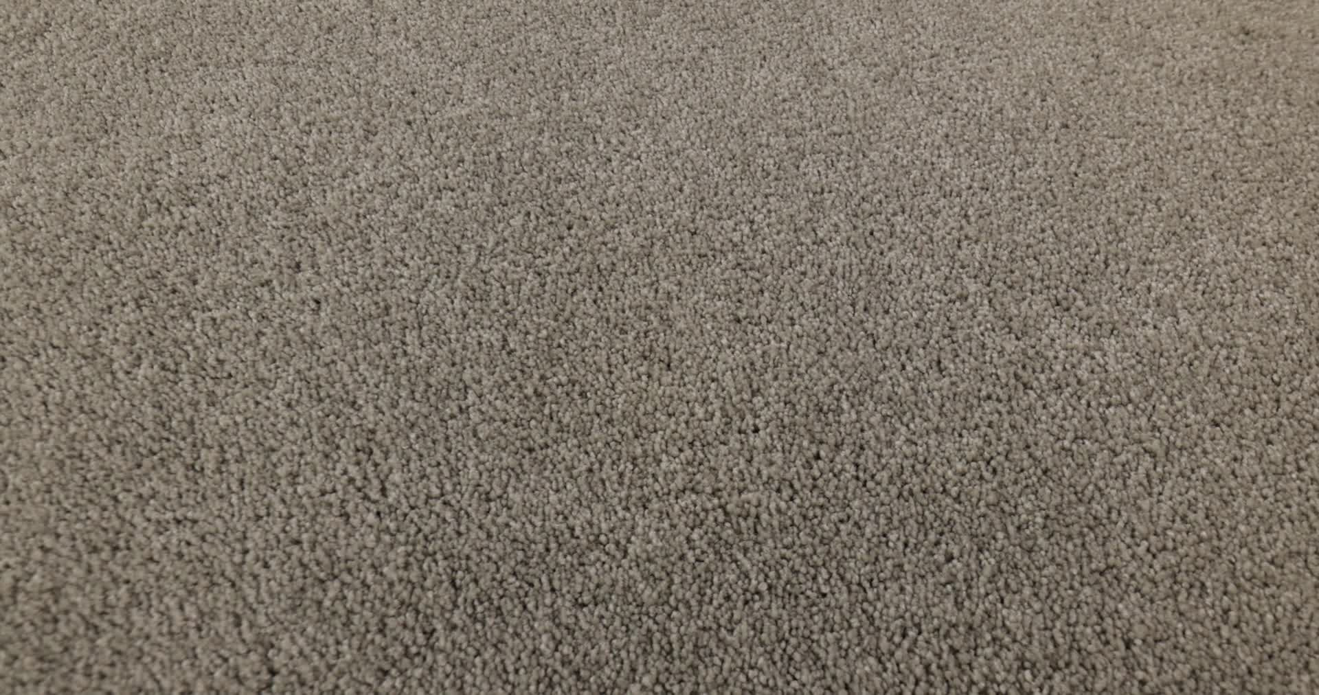 MAJORITY RULES RADIANCE 360PROD