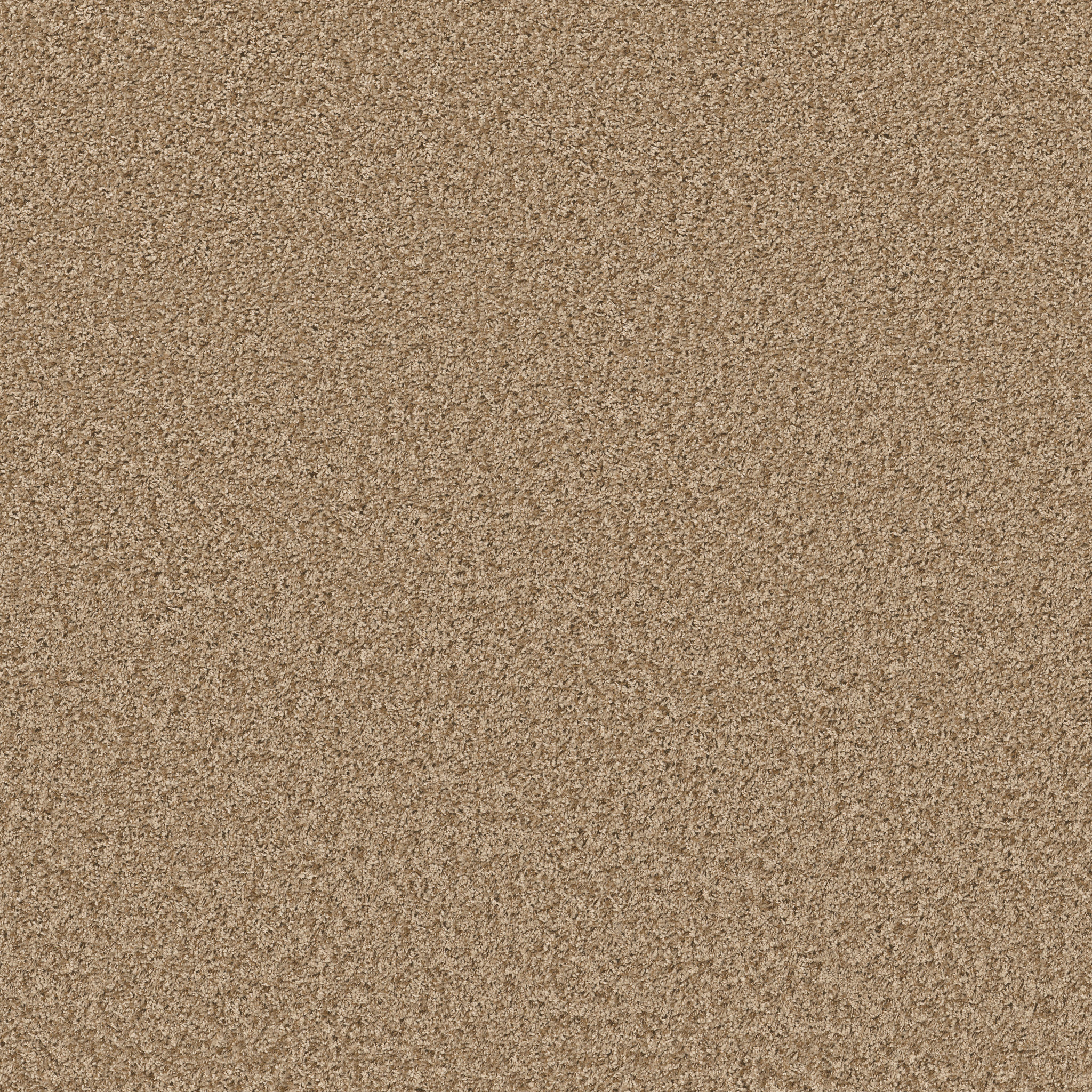 COLOR FLAIR HONEY BUTTER MAIN