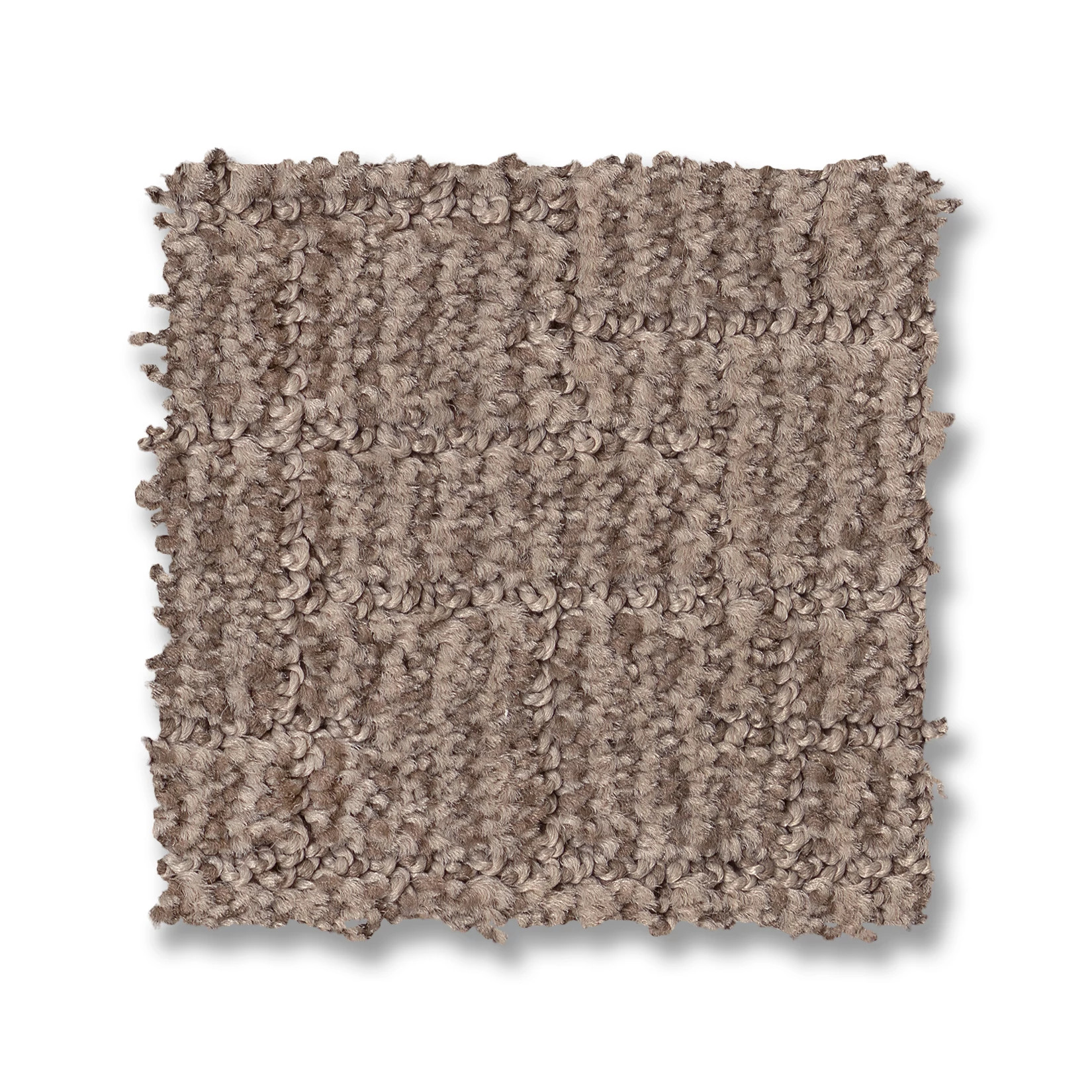 WAYFARER DRIFTWOOD SWATCH