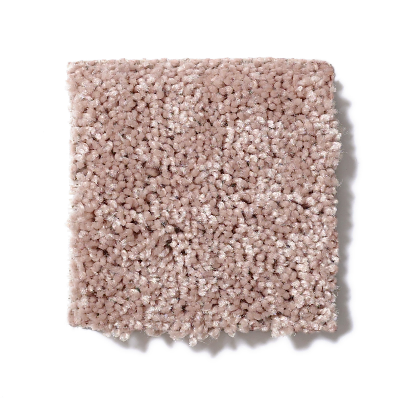 TAKE PART 12 SILK STONE SWATCH