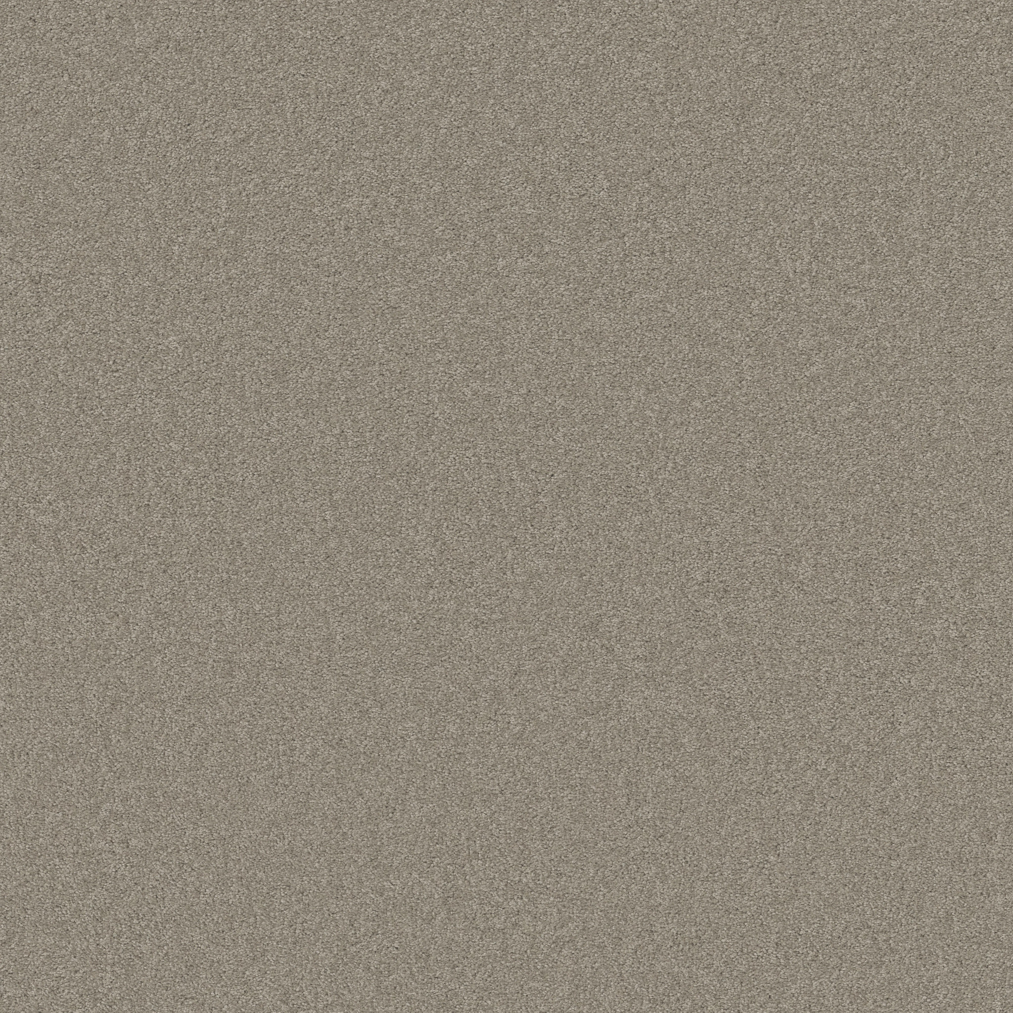 OPPORTUNITY KNOCKS COASTAL FOG MAIN