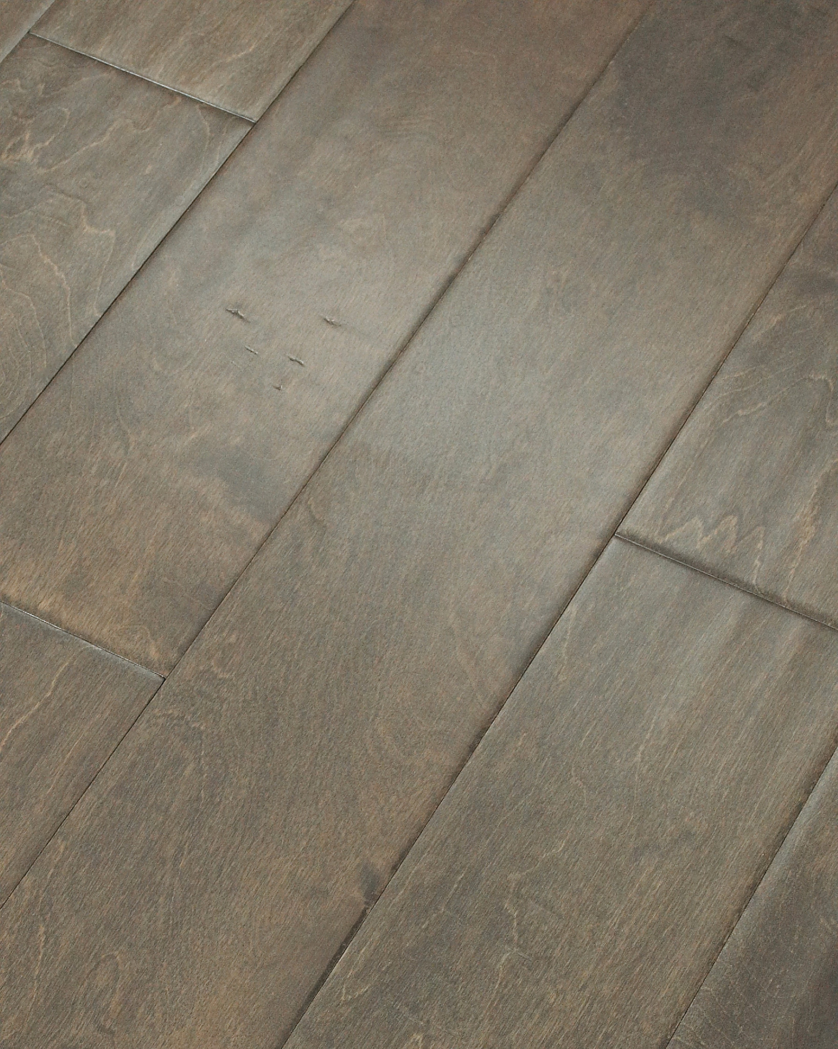 BISCAYNE BAY WINDSURF ANGLED