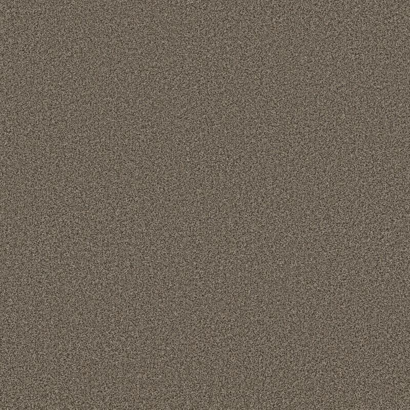Somerset ZZ279