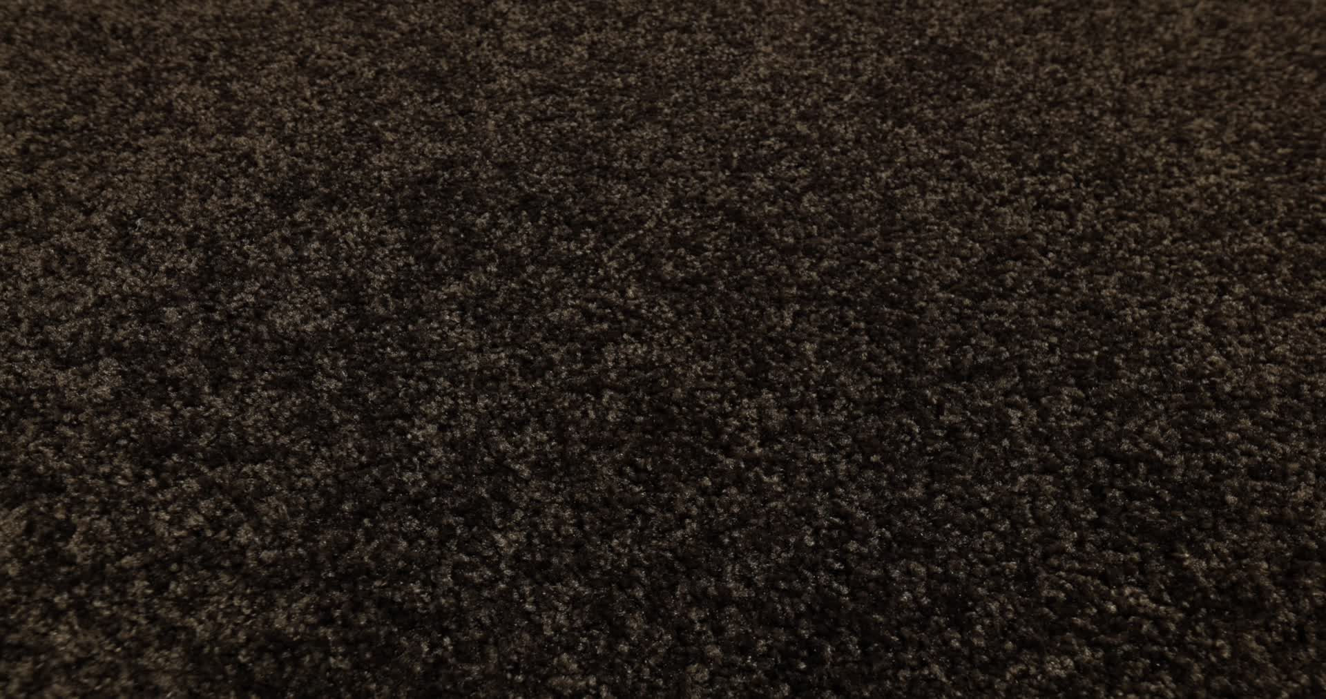 PARLAY TRUFFLE 360PROD