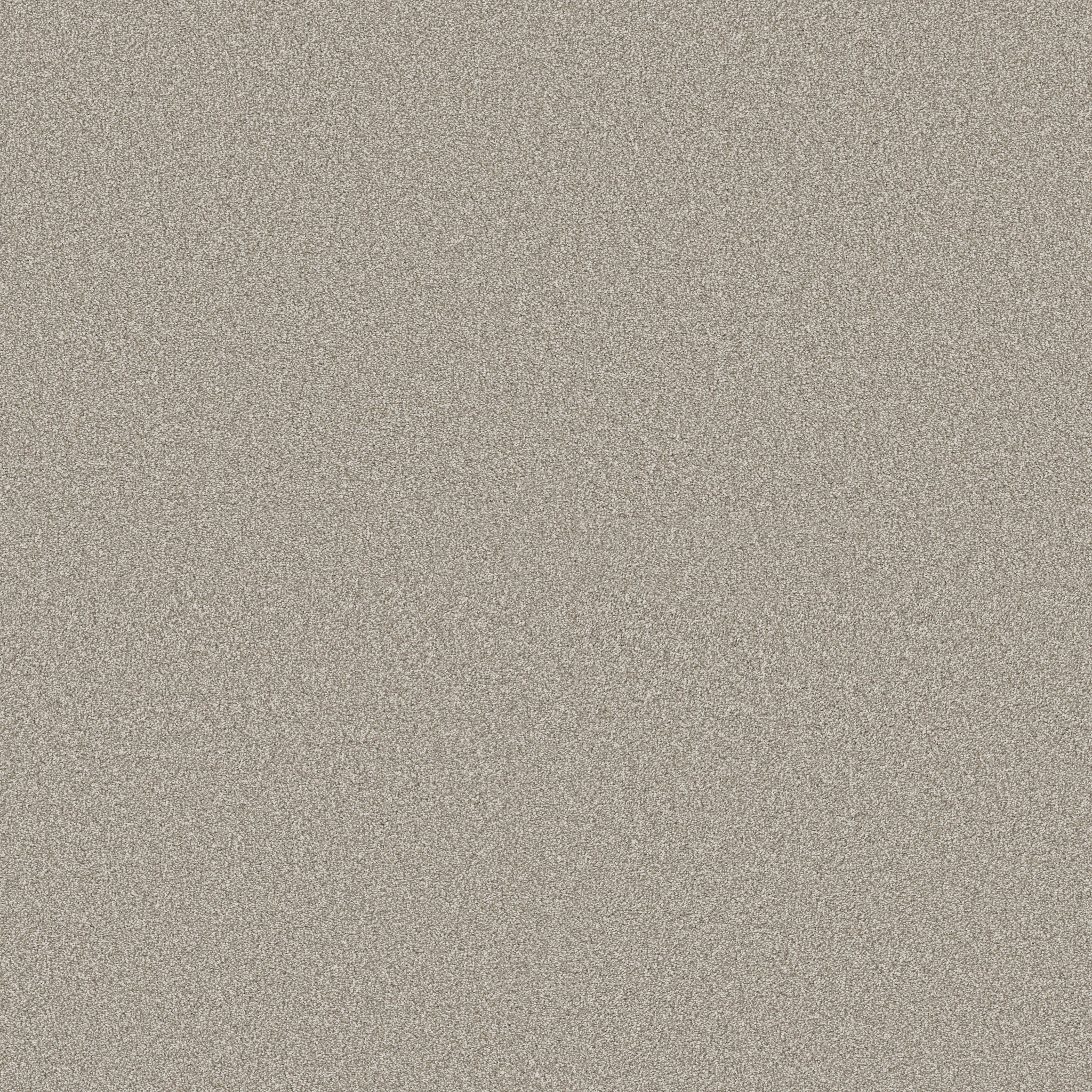 CLASSIC TONE DRIFTWOOD MAIN