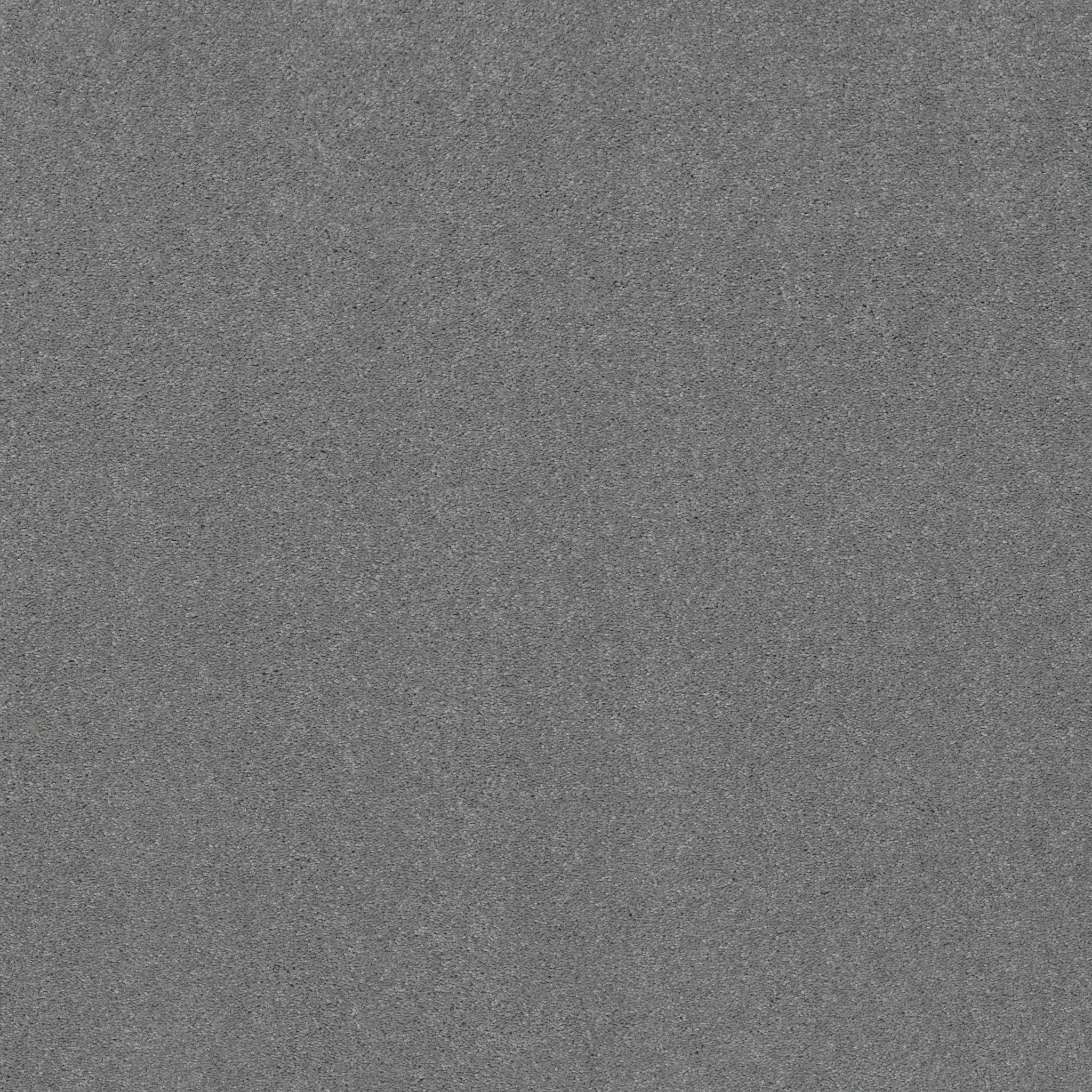 STEP RIGHT UP I 12' SWEET BLUE MAIN