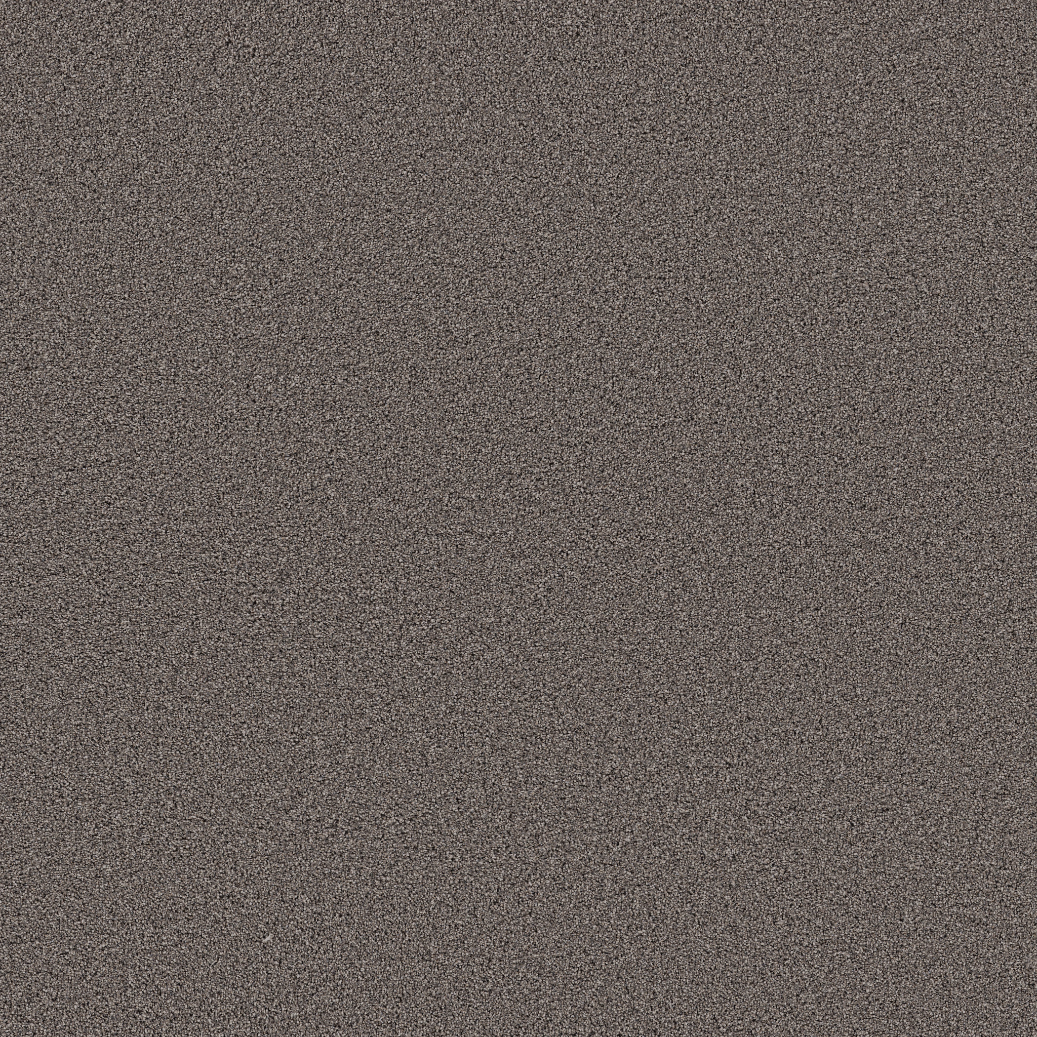 GRAND INFLUENCE II KNIGHTHOOD MAIN