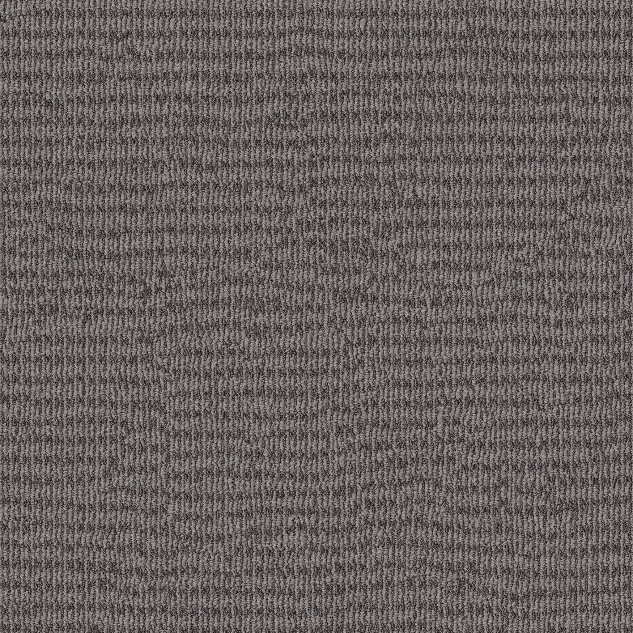 CHIC ELEVATION DOLPHIN MAIN