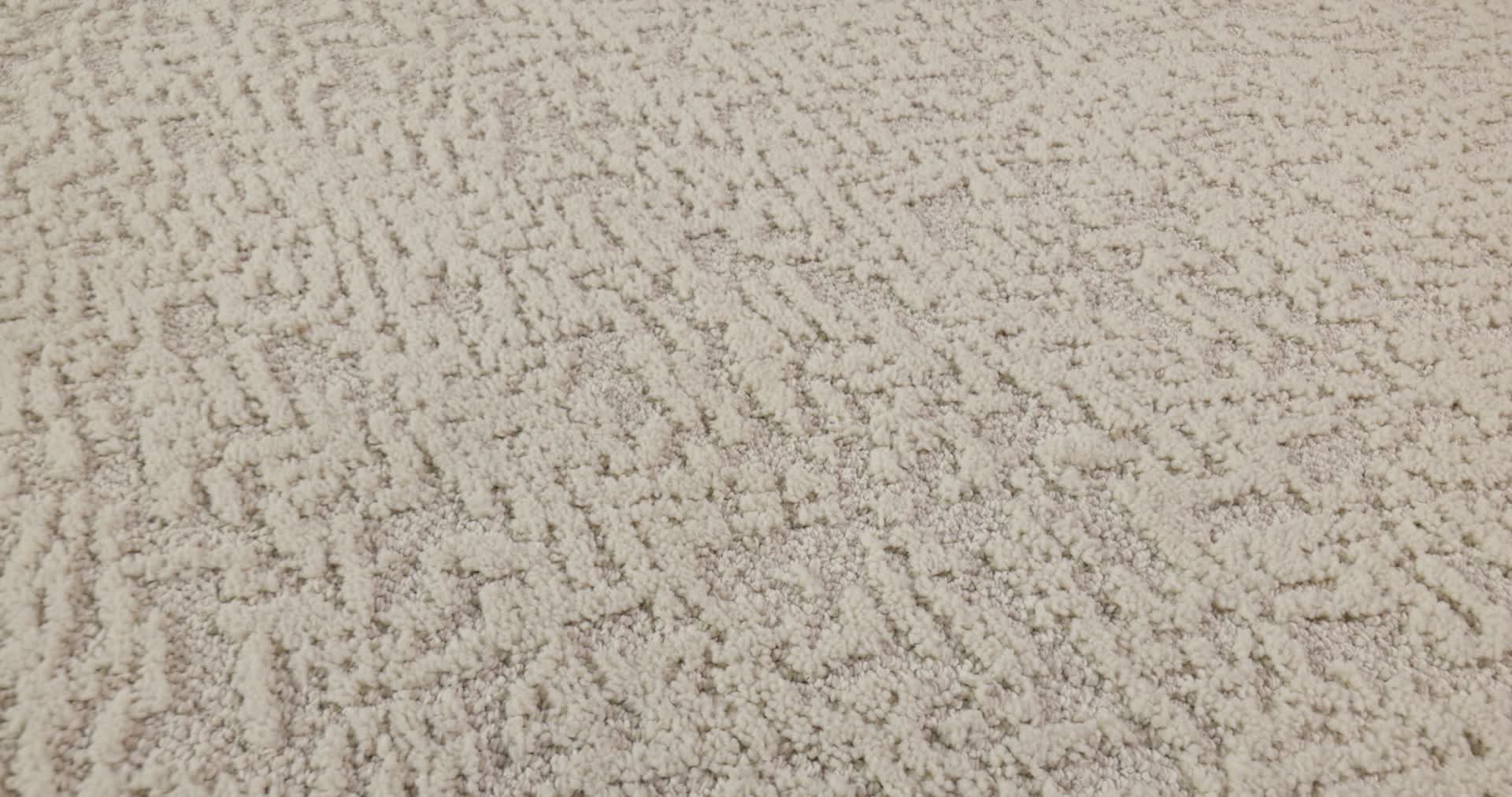 JOYFUL SPIRIT WHISKERS 360PROD