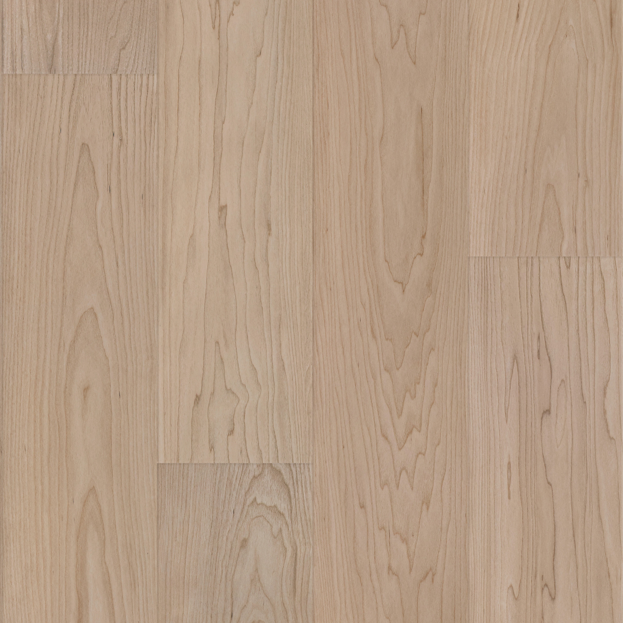 COASTAL LUXE VANILLA GROVE MAPLE MAIN