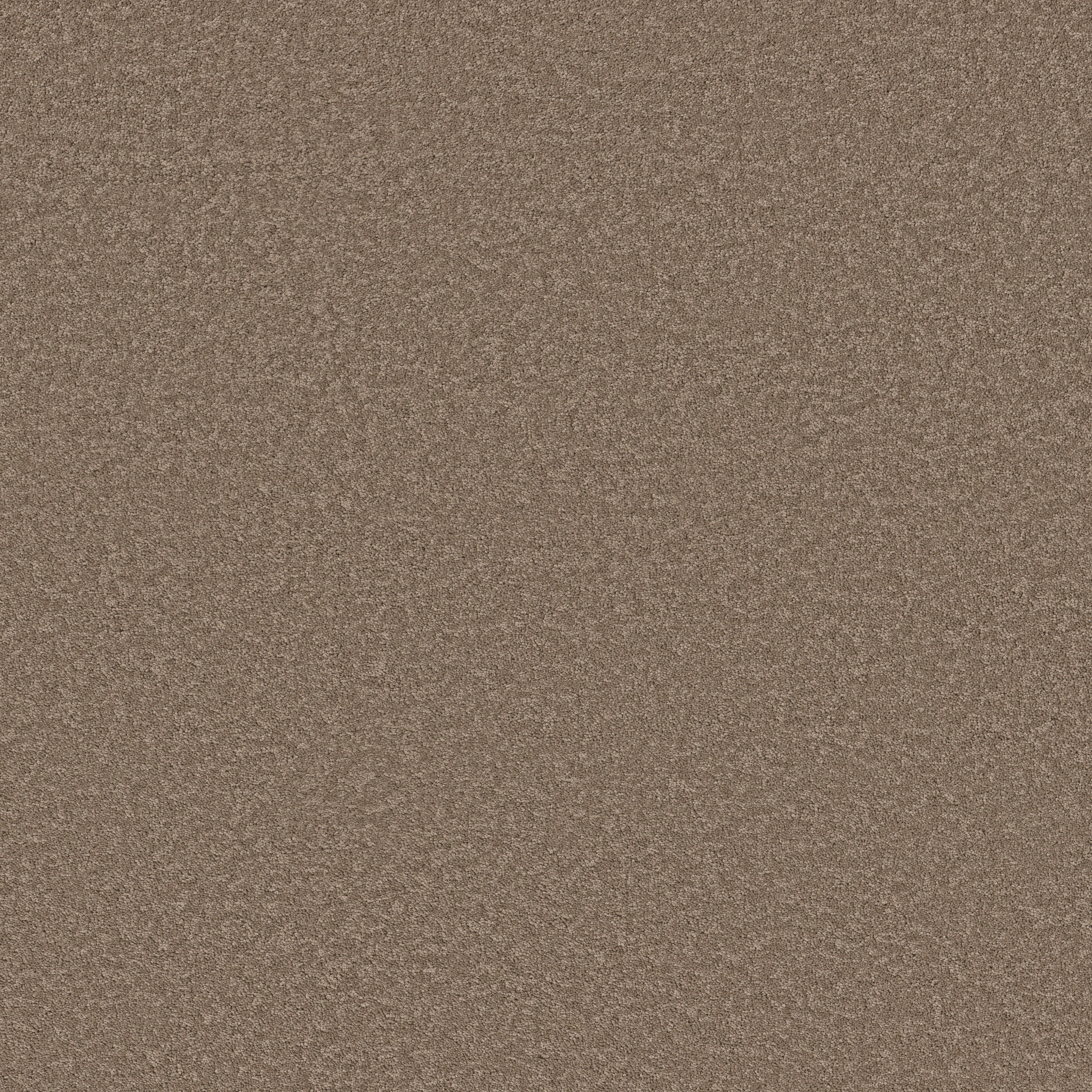 VELVET TOUCH II TIMBERLAKE MAIN