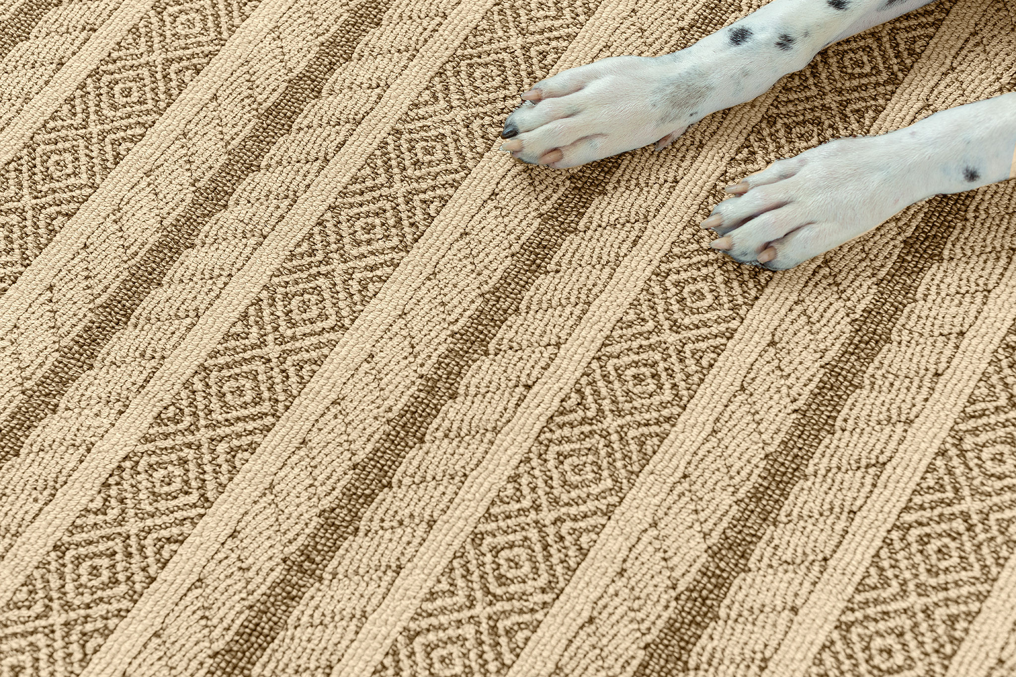 SPEAK RUSSET StaticImage01