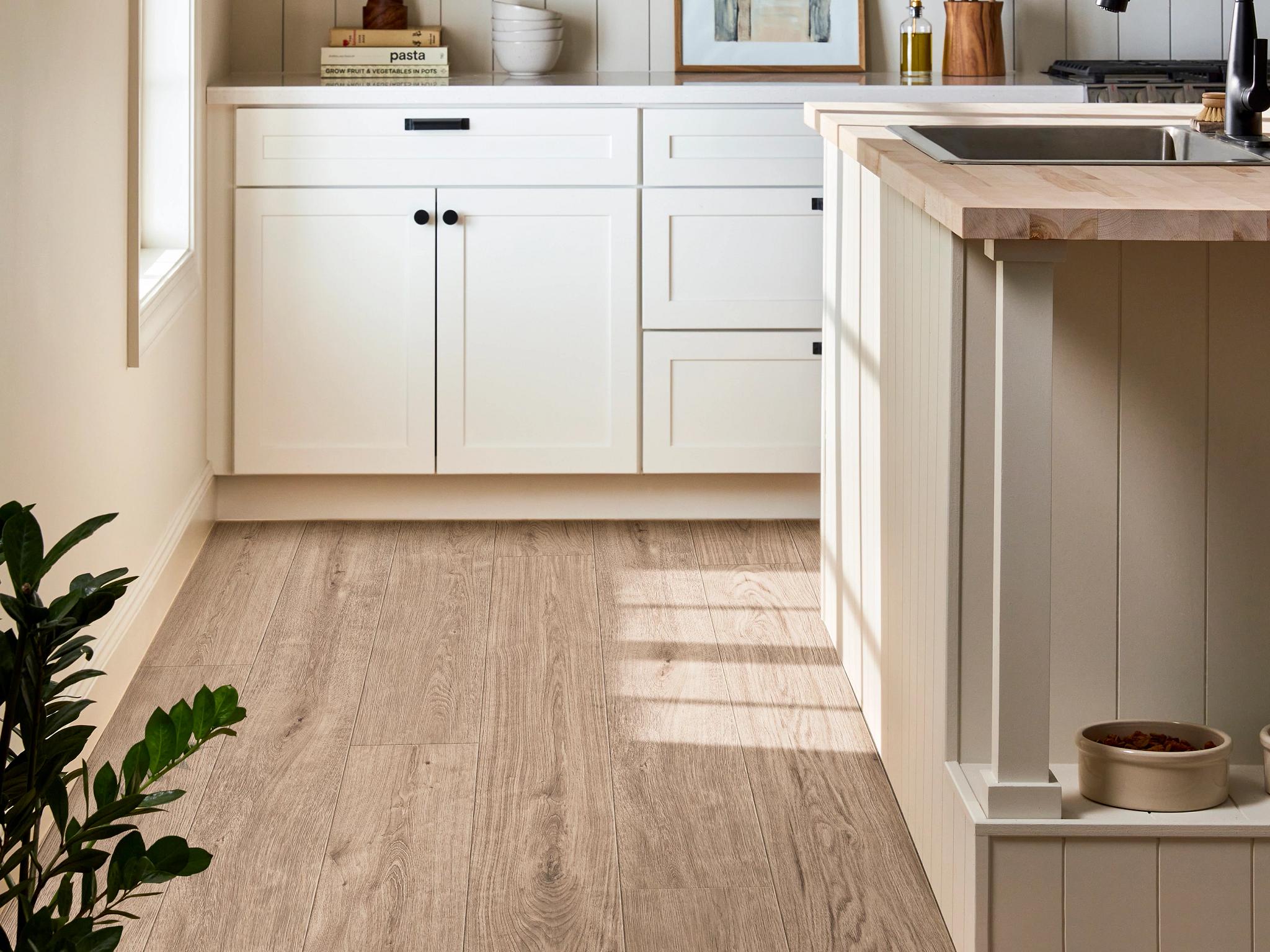 Komondor laminate