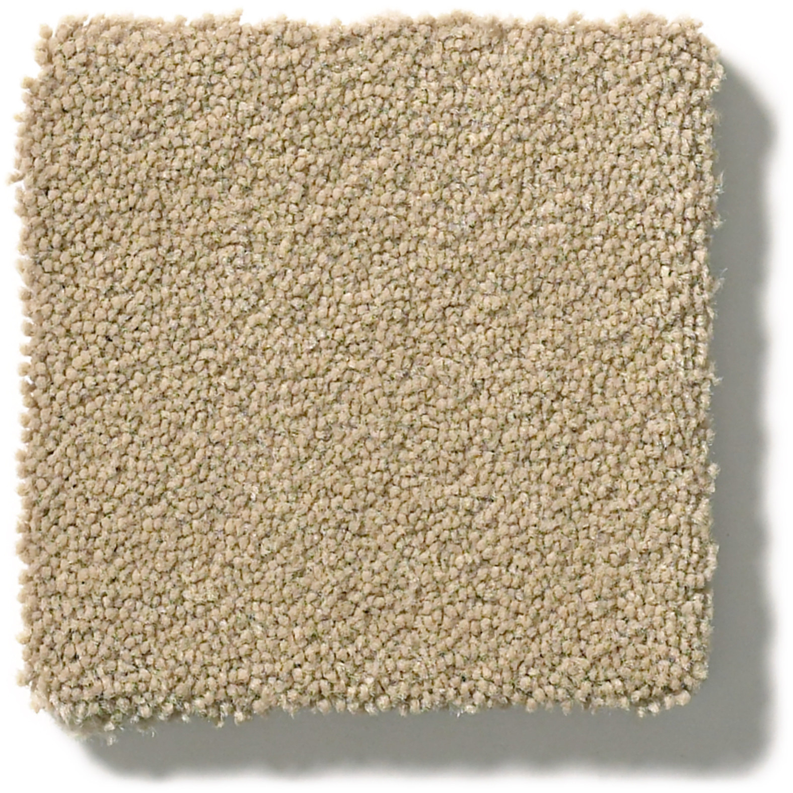 PERFECT CHOICE HIKING TRAIL SWATCH