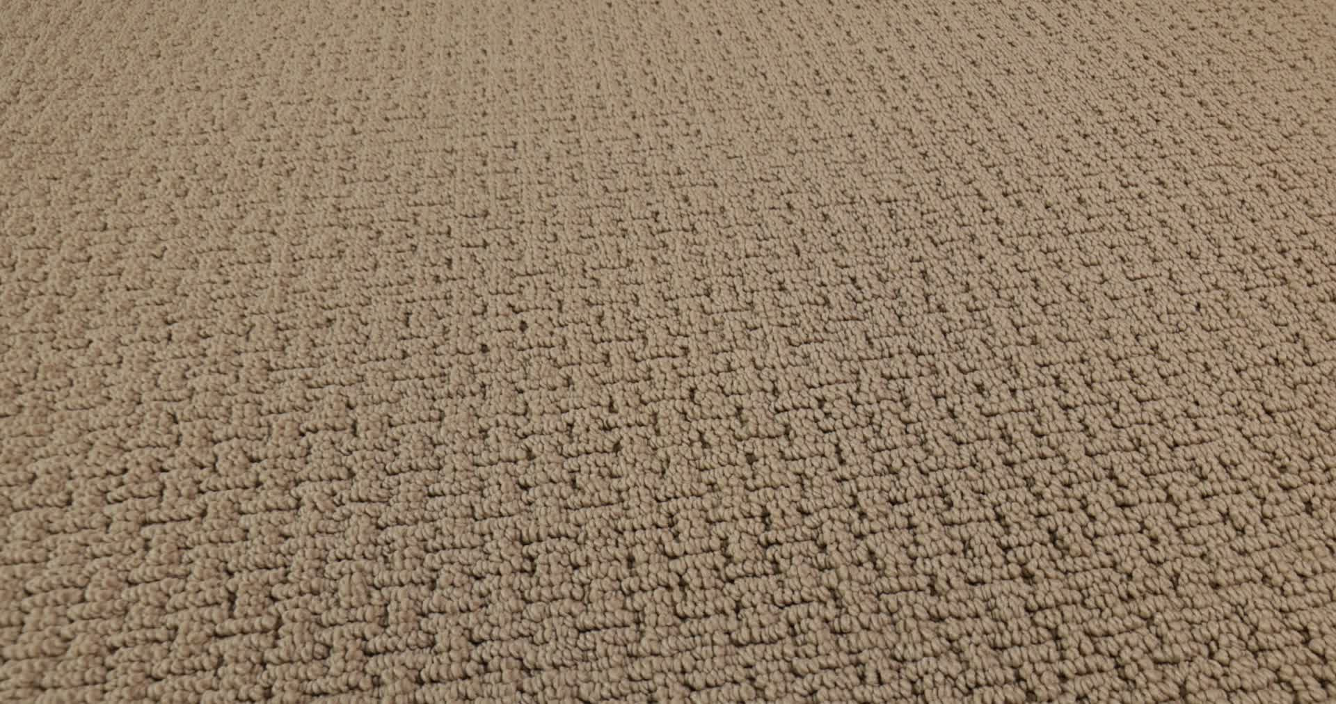 SAN SALVADOR CHAMOIS 360PROD