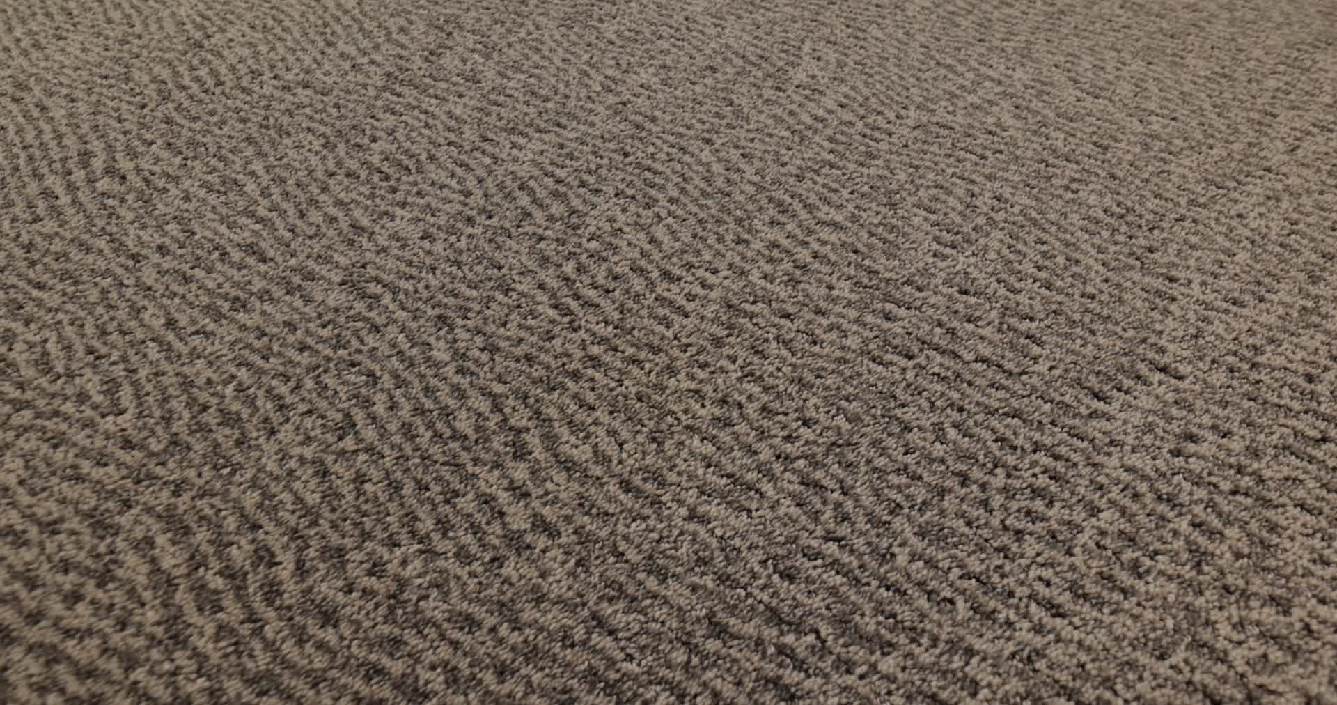 FUR-EVER DANVILLE 360PROD