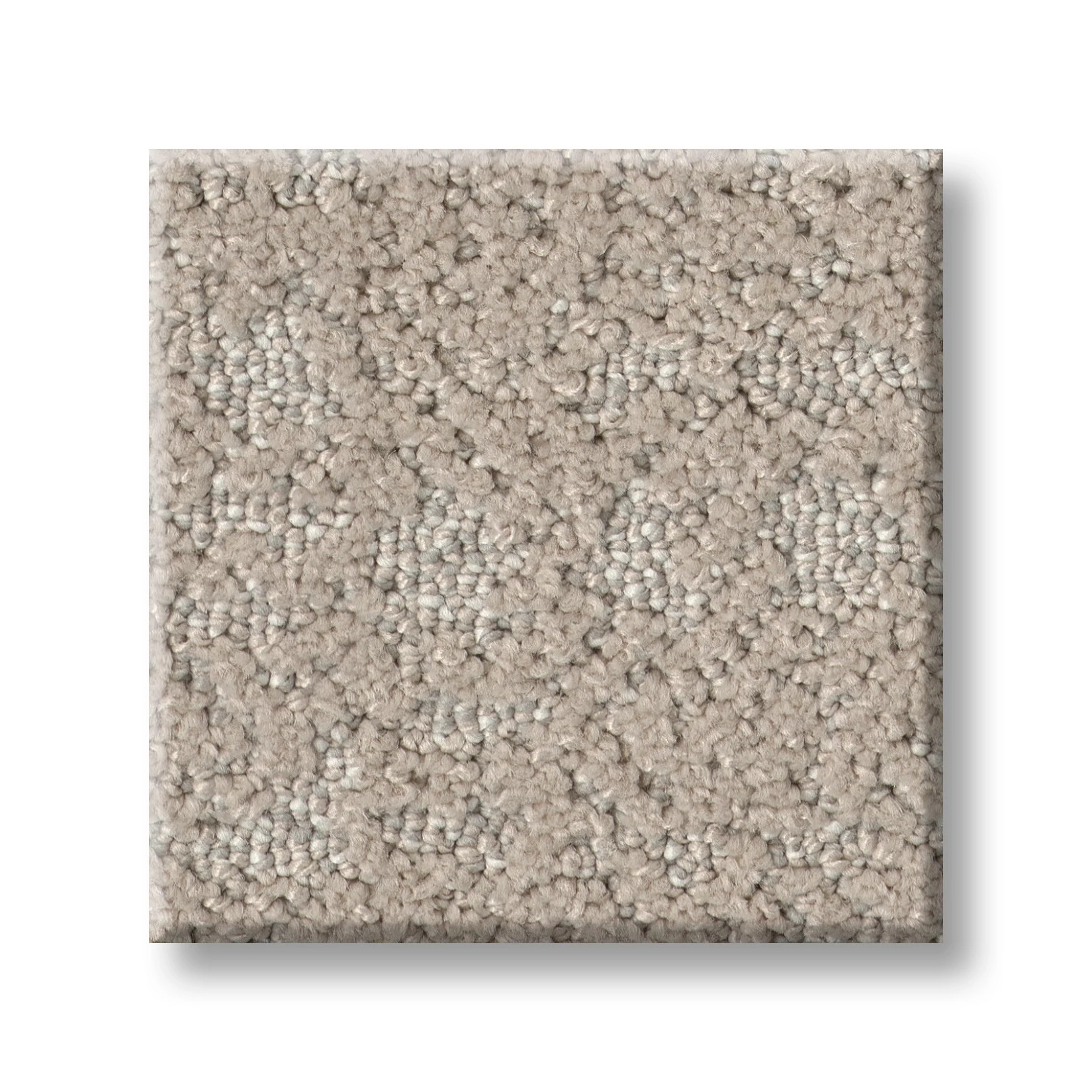 TAILORED CRAFT ABALONE SWATCH