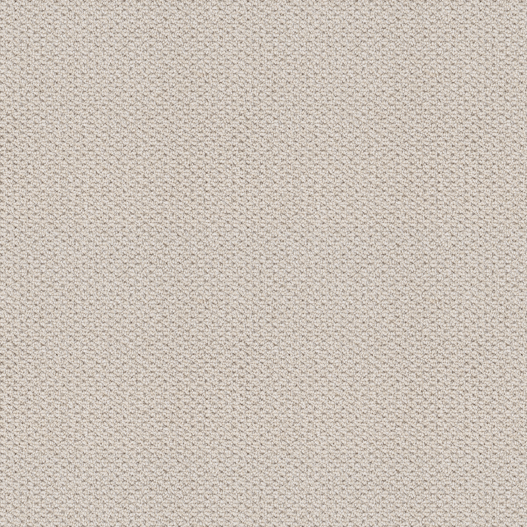 AG New Adventure DELICATE WHITE MAIN