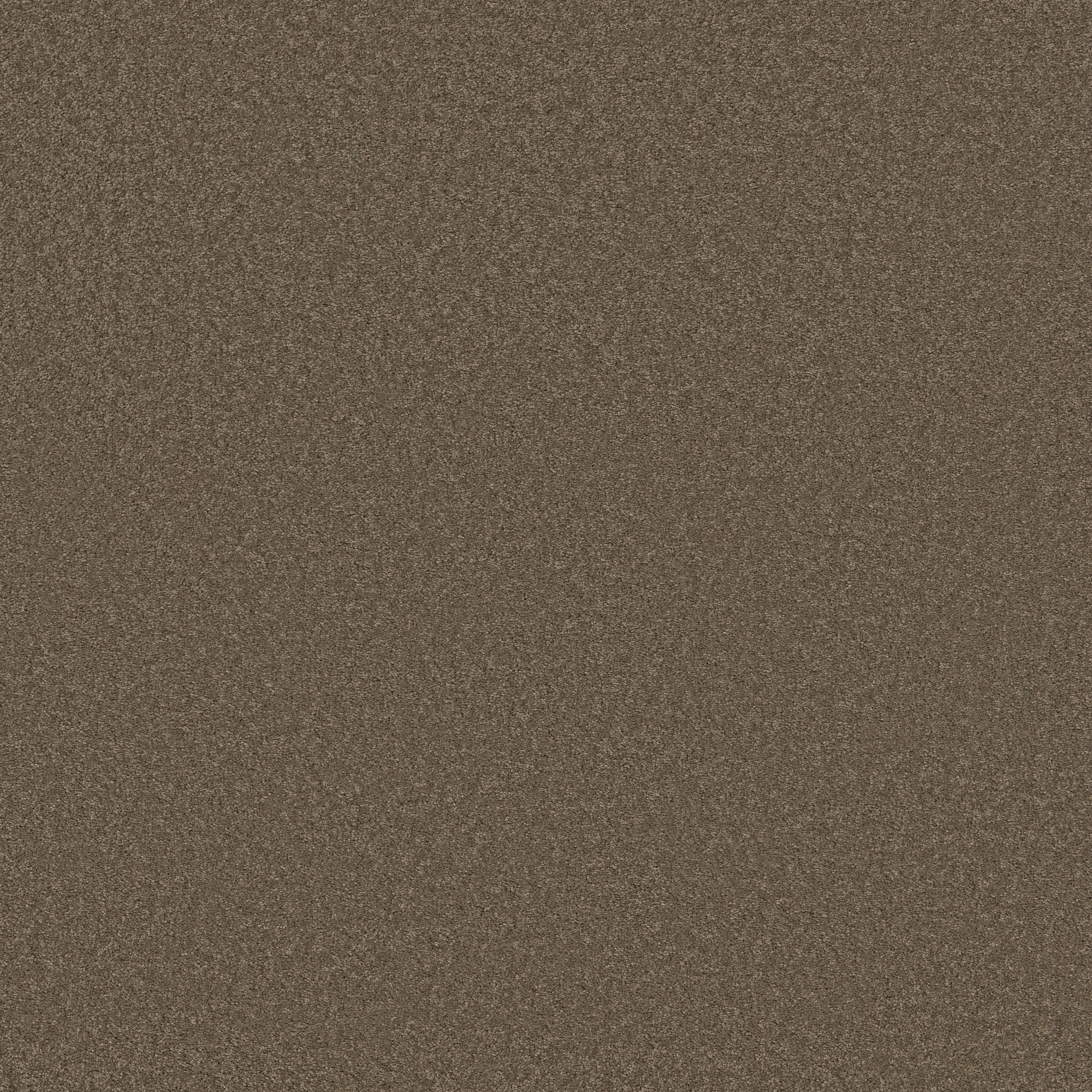 ELEGANT BEAUTY MOONBEAM MAIN