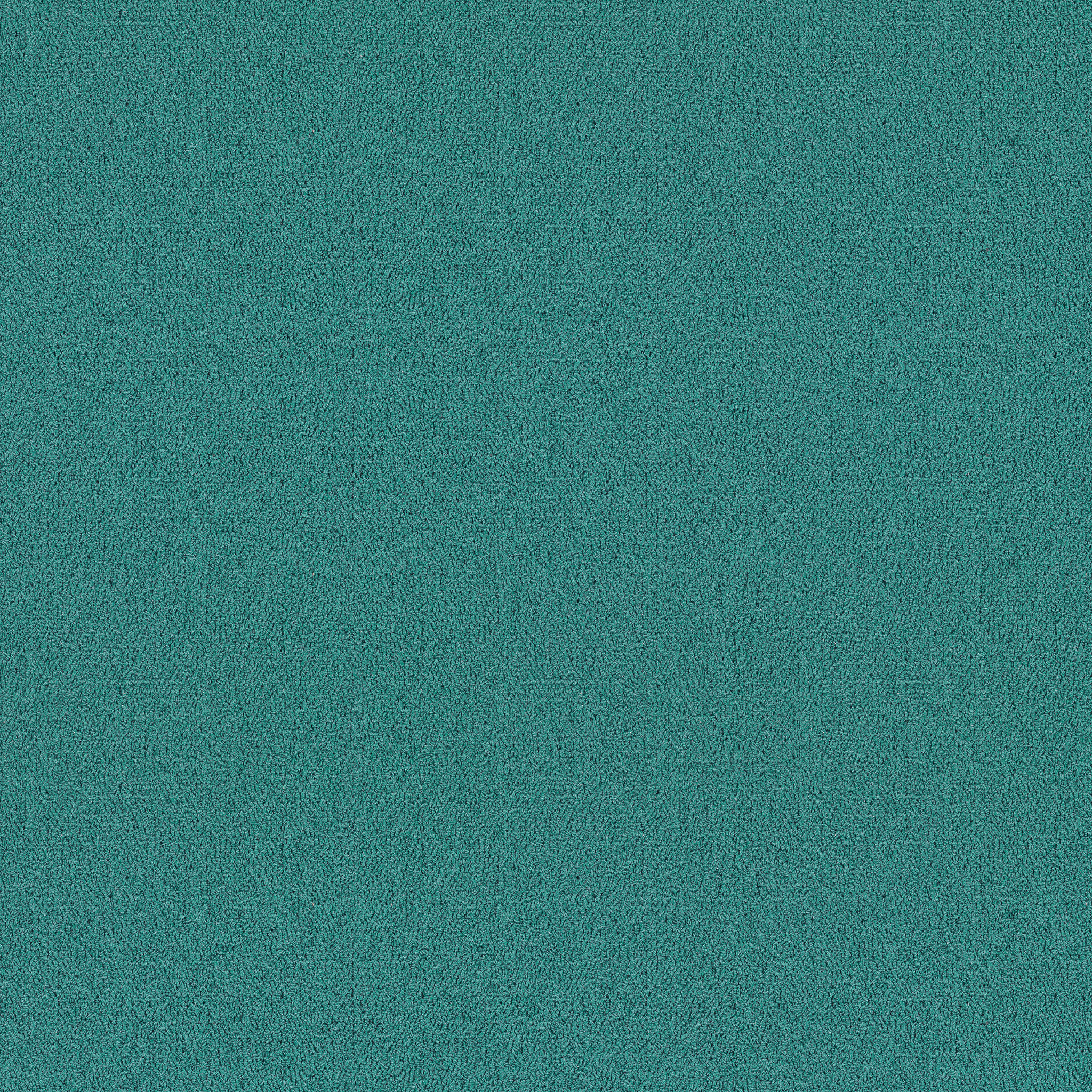 COLOR-ACCENTS-54462-SAXONY-BLUE-62405-main-image