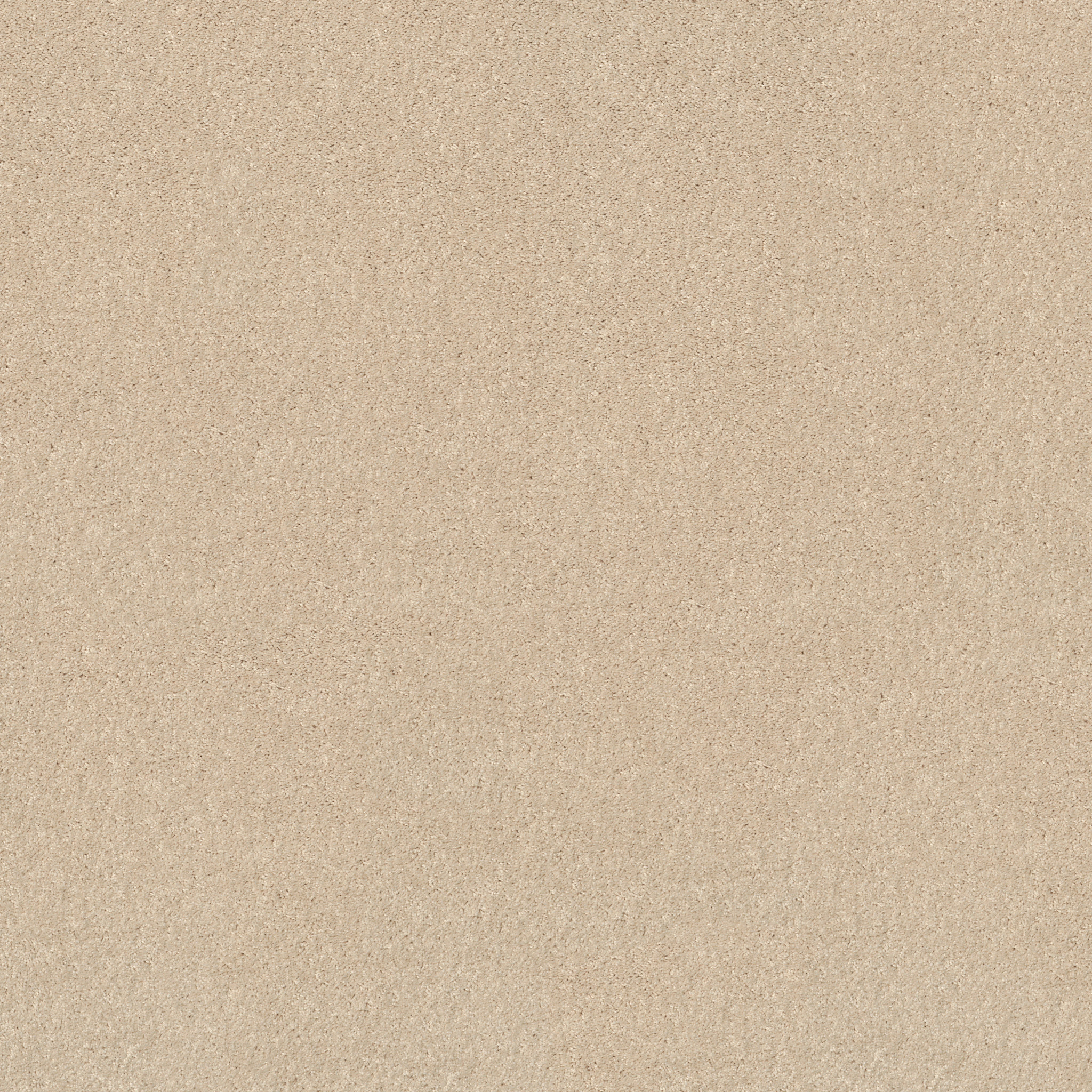 LACONA 12' VANILLA CUSTARD MAIN