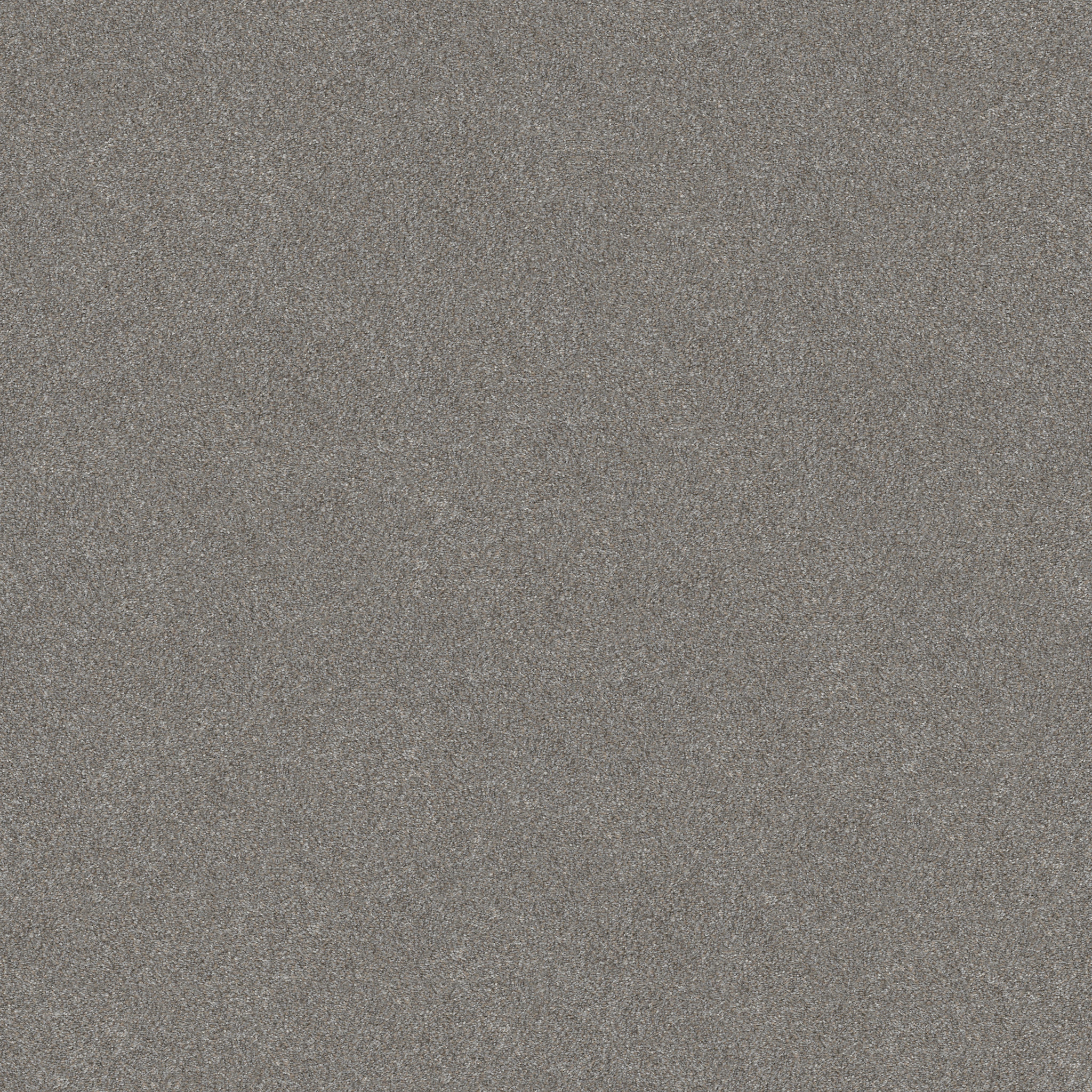 WITHOUT LIMITS II STAINLESS MAIN