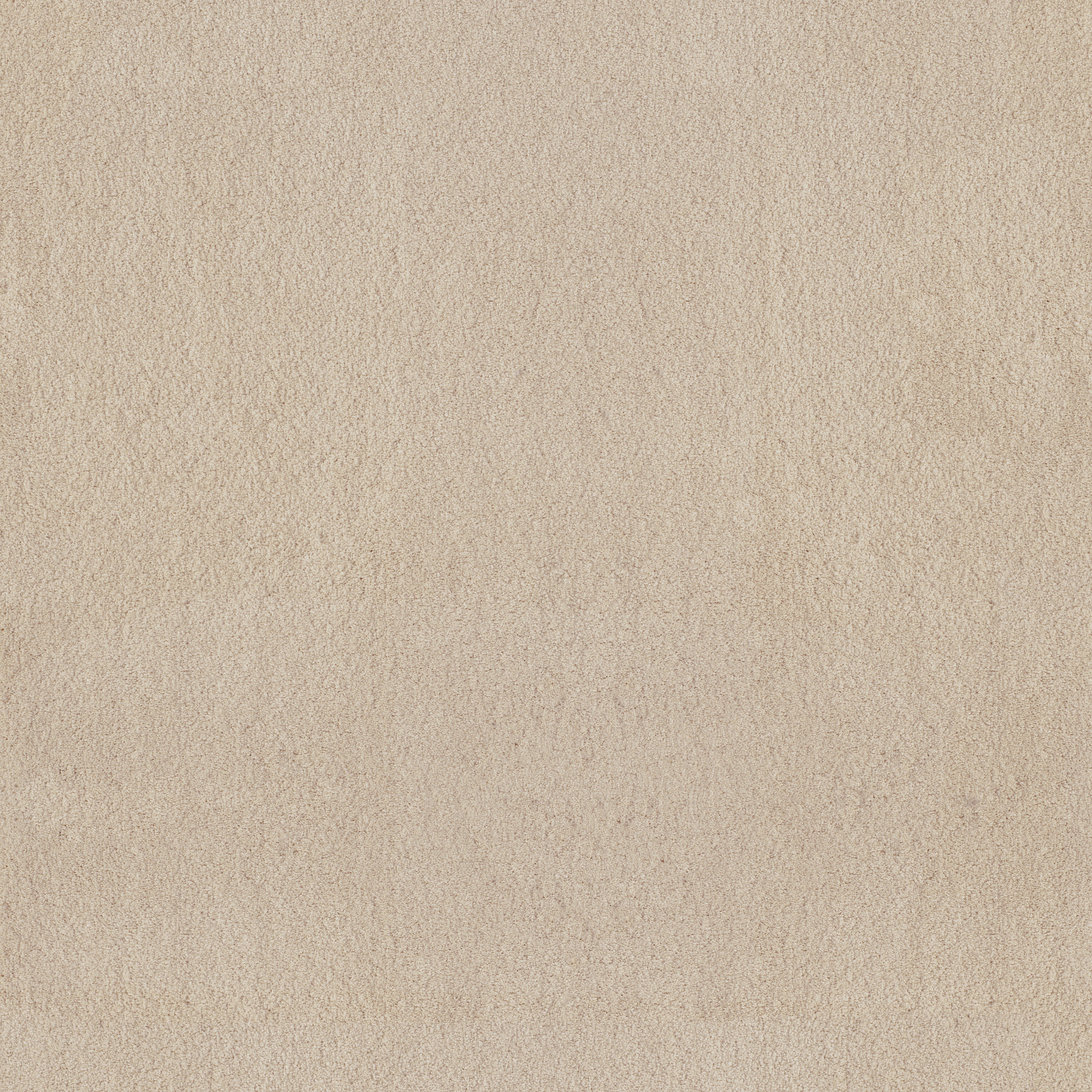 LUXE FEEL I SUNLIT MAIN